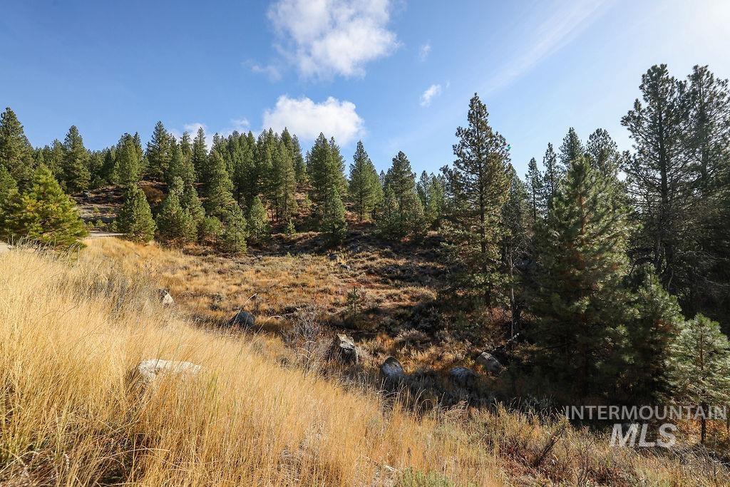 TBD Joshua Drive, Cascade, Idaho 83611, Land For Sale, Price $180,000,MLS 98981376
