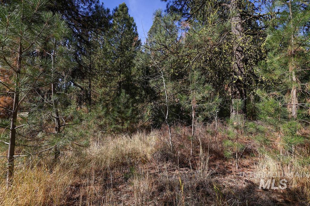 TBD Joshua Drive, Cascade, Idaho 83611, Land For Sale, Price $180,000,MLS 98981376
