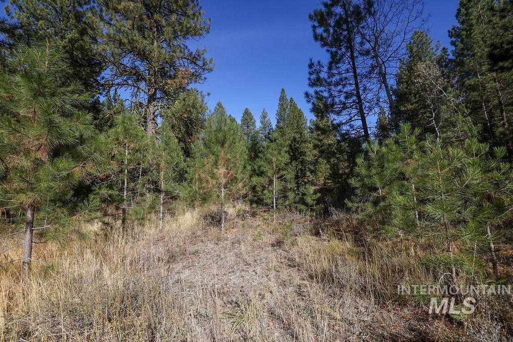 TBD Joshua Drive, Cascade, Idaho 83611, Land For Sale, Price $180,000,MLS 98981376