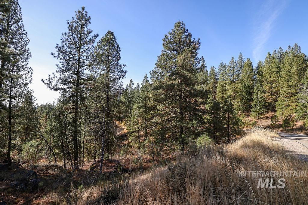 TBD Joshua Drive, Cascade, Idaho 83611, Land For Sale, Price $180,000,MLS 98981376
