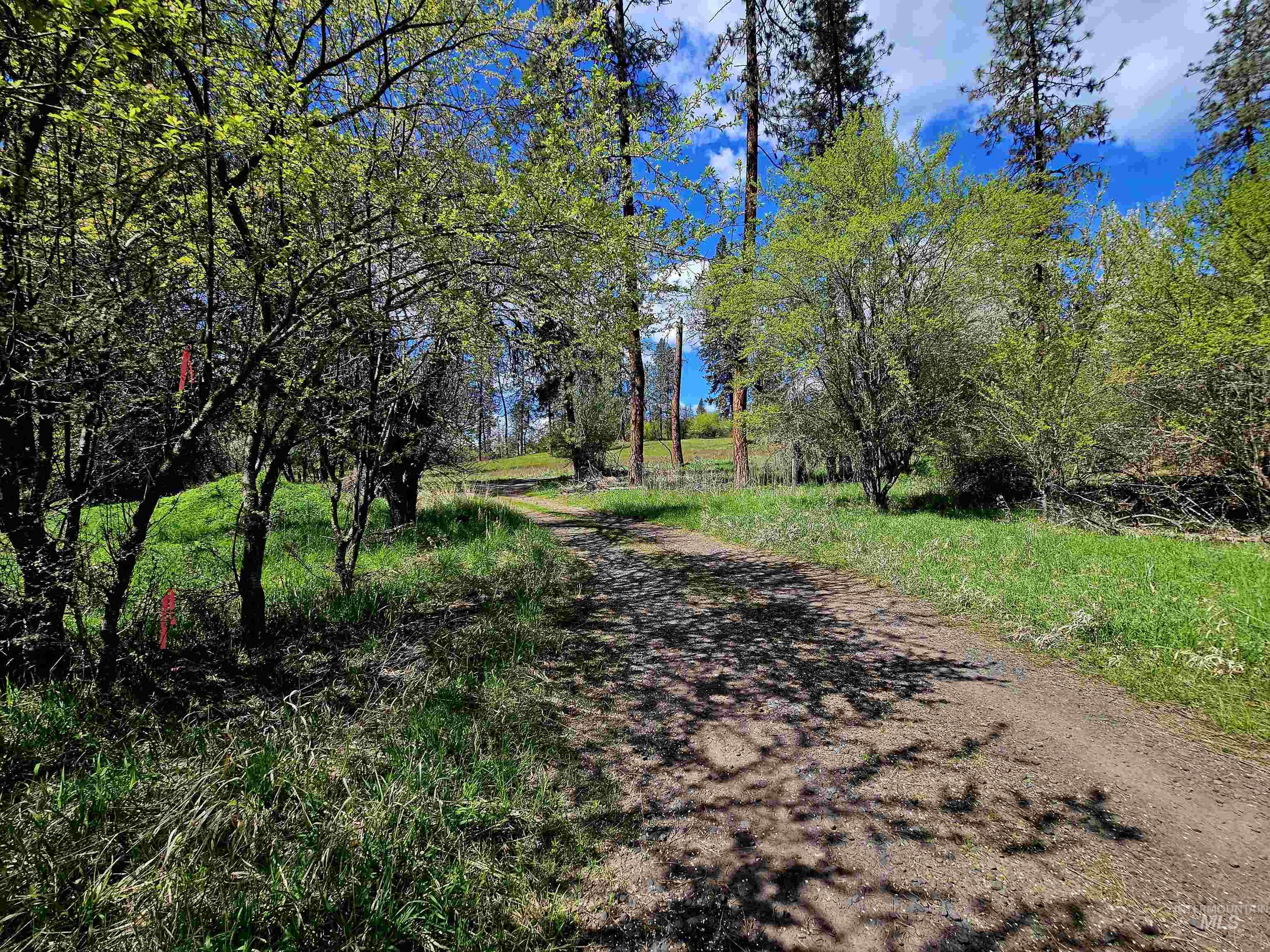 115 Weedmark Way, Kamiah, Idaho 83536, 2 Bedrooms, 1 Bathroom, Residential For Sale, Price $589,000,MLS 98981420