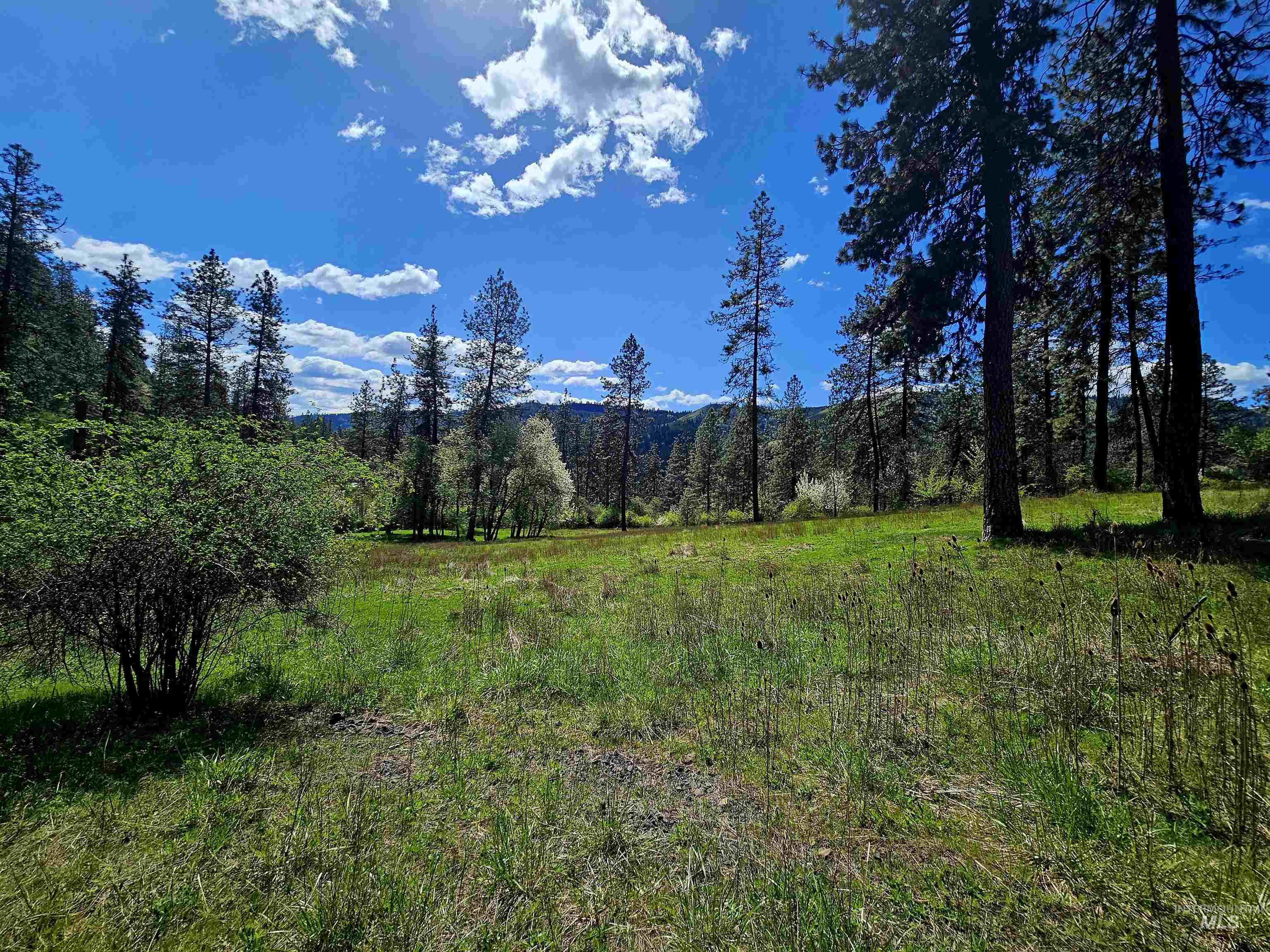 115 Weedmark Way, Kamiah, Idaho 83536, 2 Bedrooms, 1 Bathroom, Residential For Sale, Price $579,000,MLS 98981420