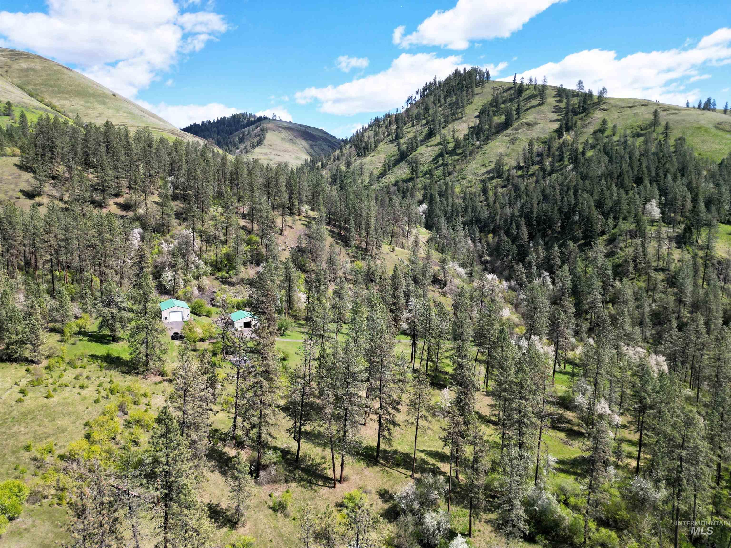 115 Weedmark Way, Kamiah, Idaho 83536, 2 Bedrooms, 1 Bathroom, Residential For Sale, Price $579,000,MLS 98981420