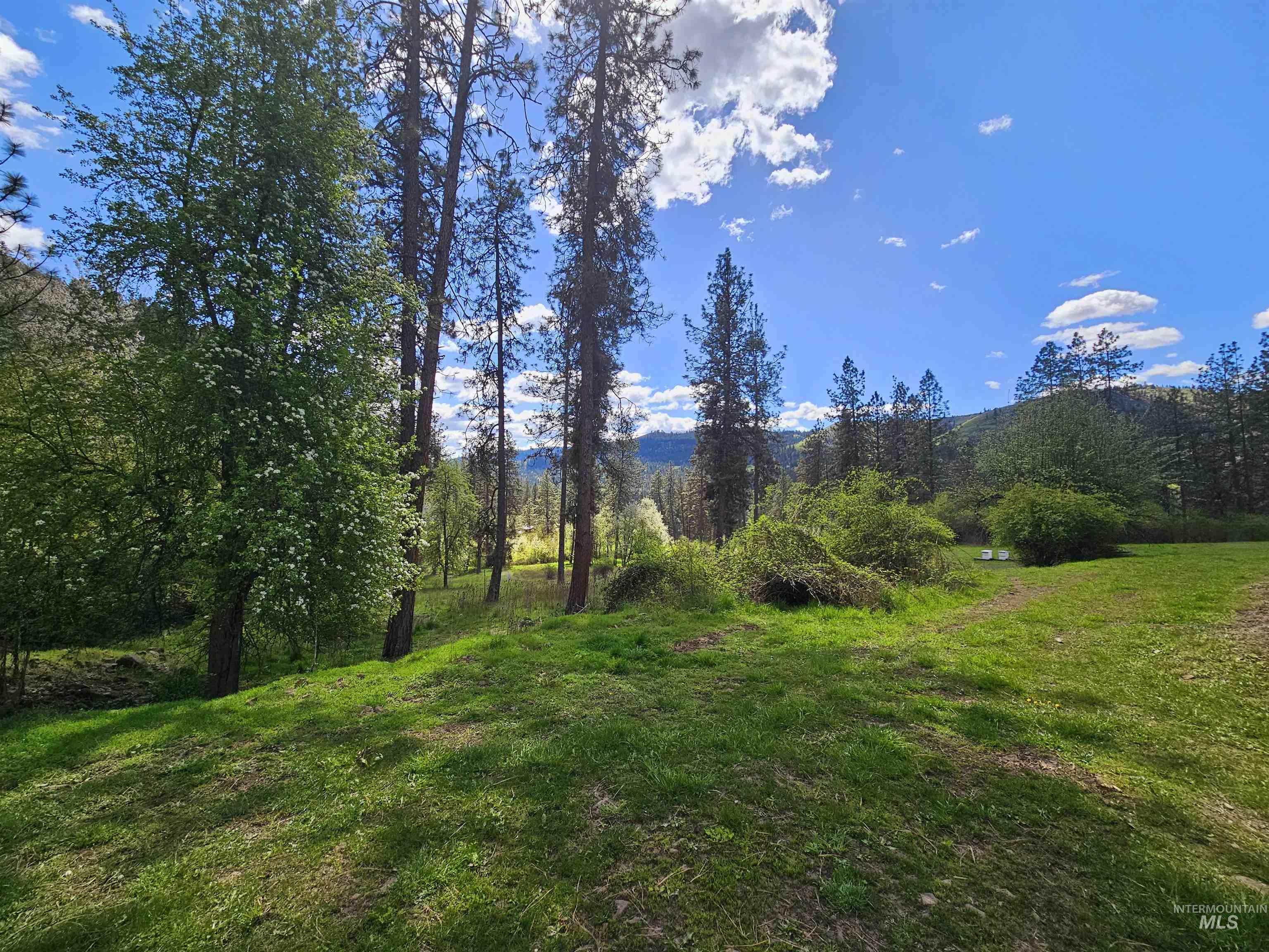 115 Weedmark Way, Kamiah, Idaho 83536, 2 Bedrooms, 1 Bathroom, Residential For Sale, Price $579,000,MLS 98981420