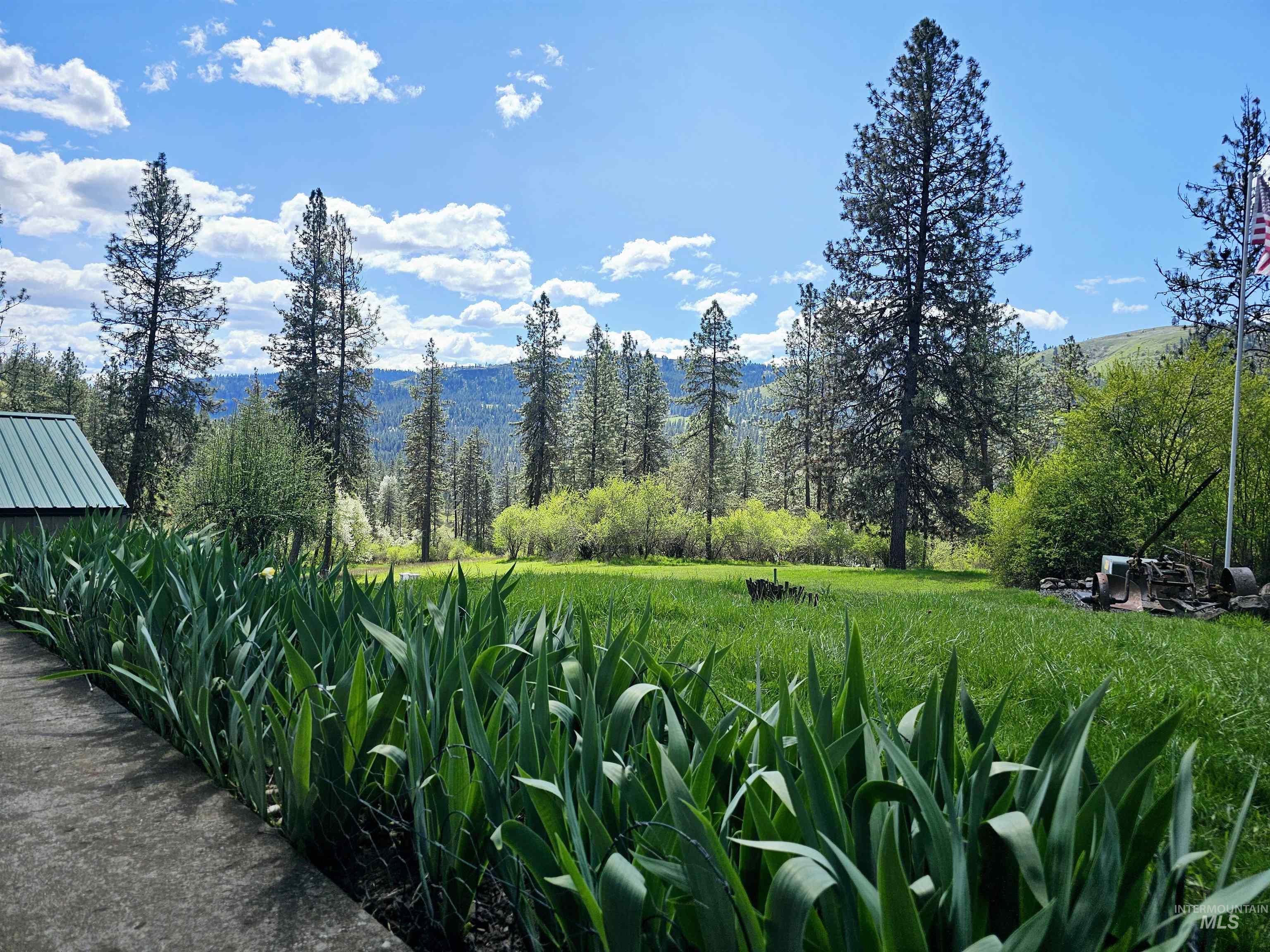 115 Weedmark Way, Kamiah, Idaho 83536, 2 Bedrooms, 1 Bathroom, Residential For Sale, Price $579,000,MLS 98981420