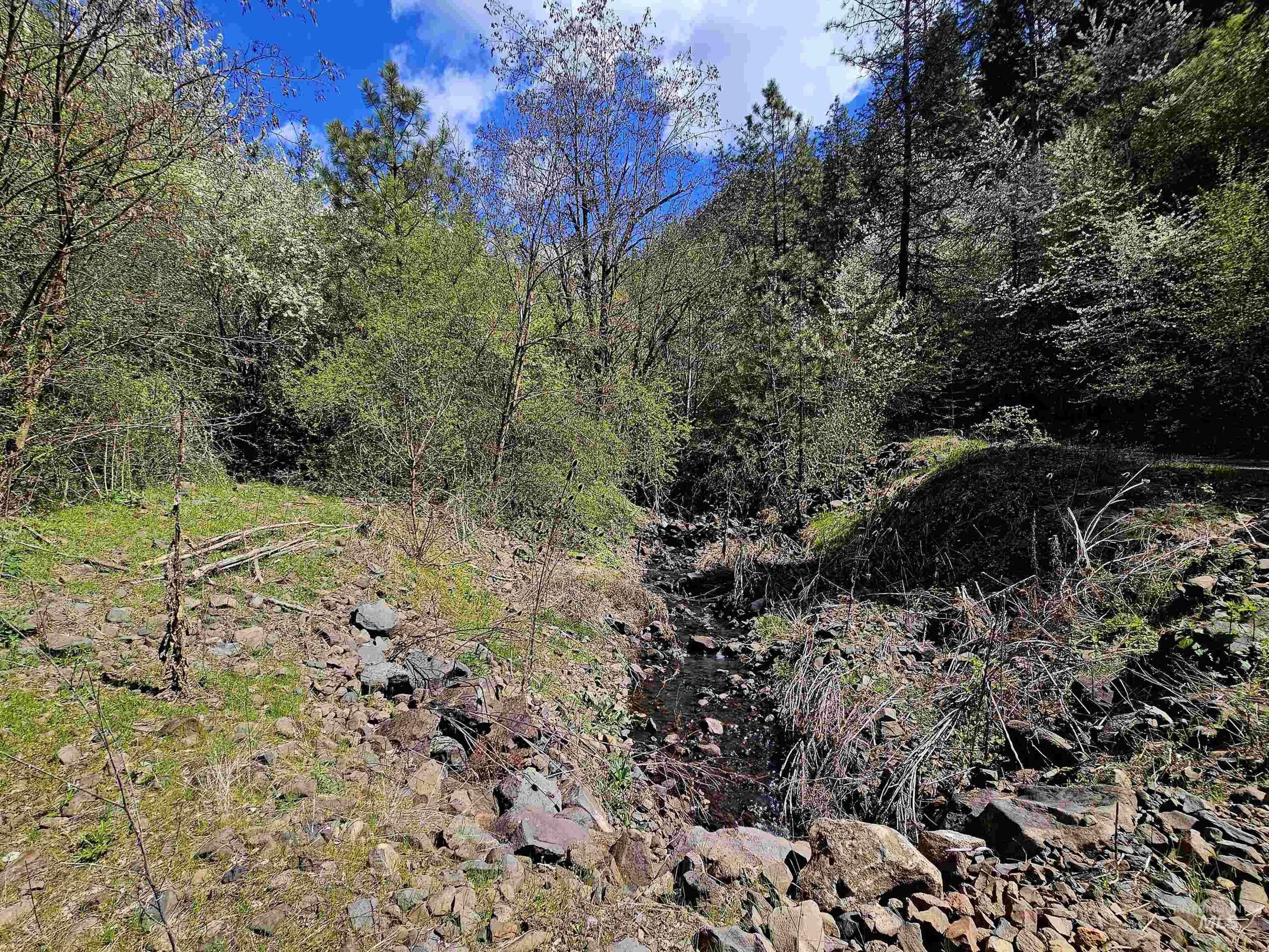 115 Weedmark Way, Kamiah, Idaho 83536, 2 Bedrooms, 1 Bathroom, Residential For Sale, Price $589,000,MLS 98981420