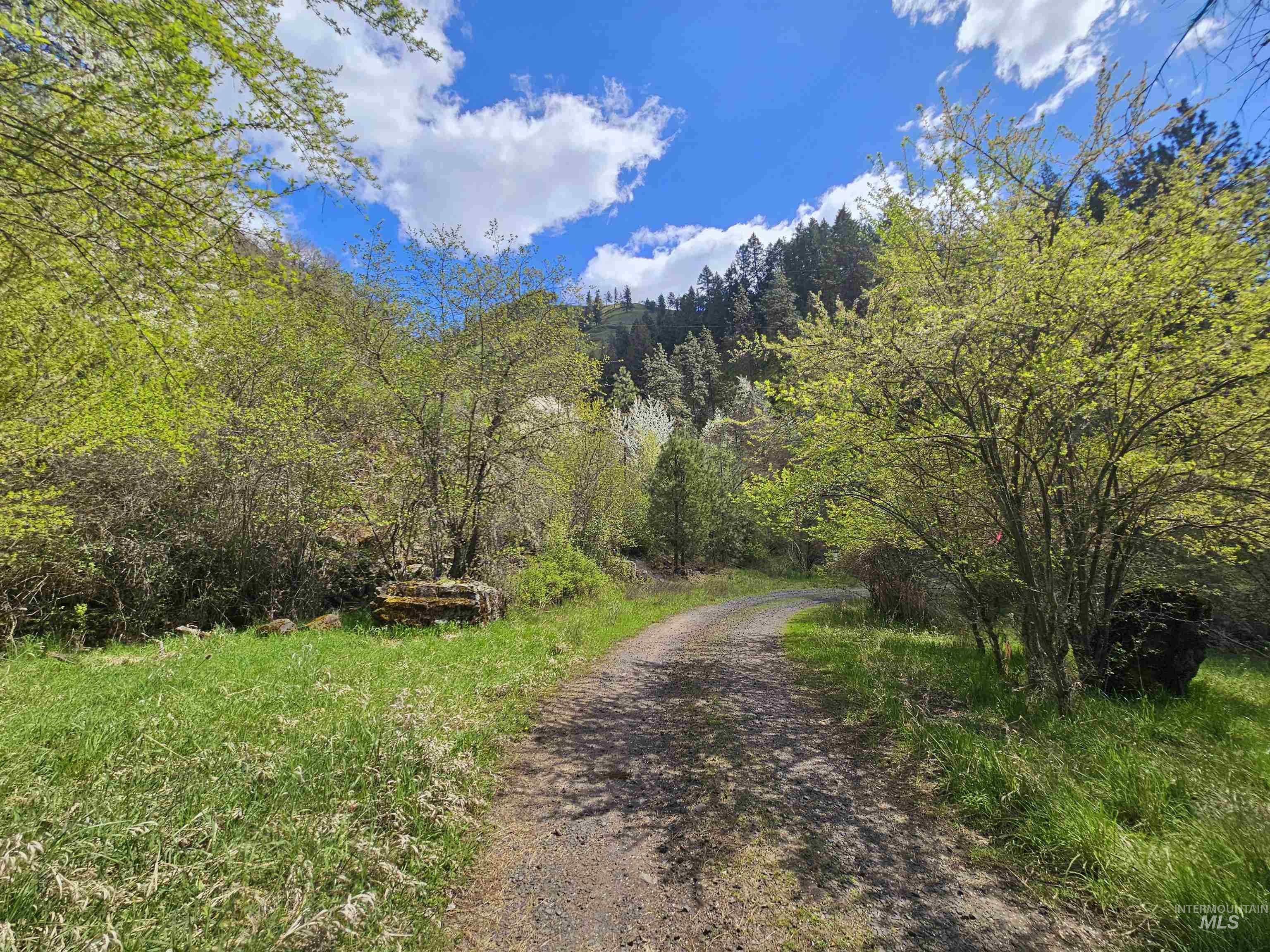 115 Weedmark Way, Kamiah, Idaho 83536, 2 Bedrooms, 1 Bathroom, Residential For Sale, Price $579,000,MLS 98981420
