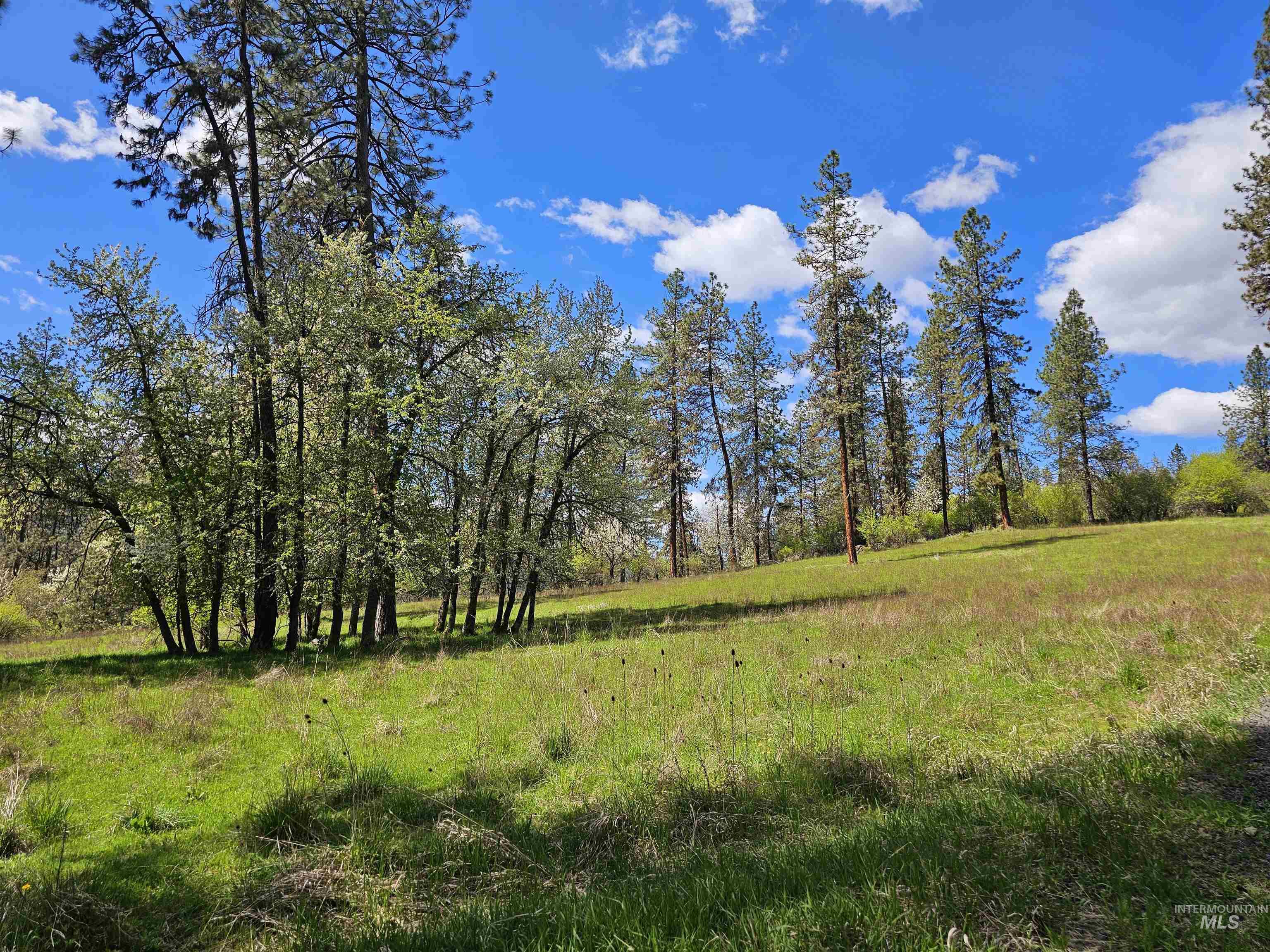 115 Weedmark Way, Kamiah, Idaho 83536, 2 Bedrooms, 1 Bathroom, Residential For Sale, Price $579,000,MLS 98981420