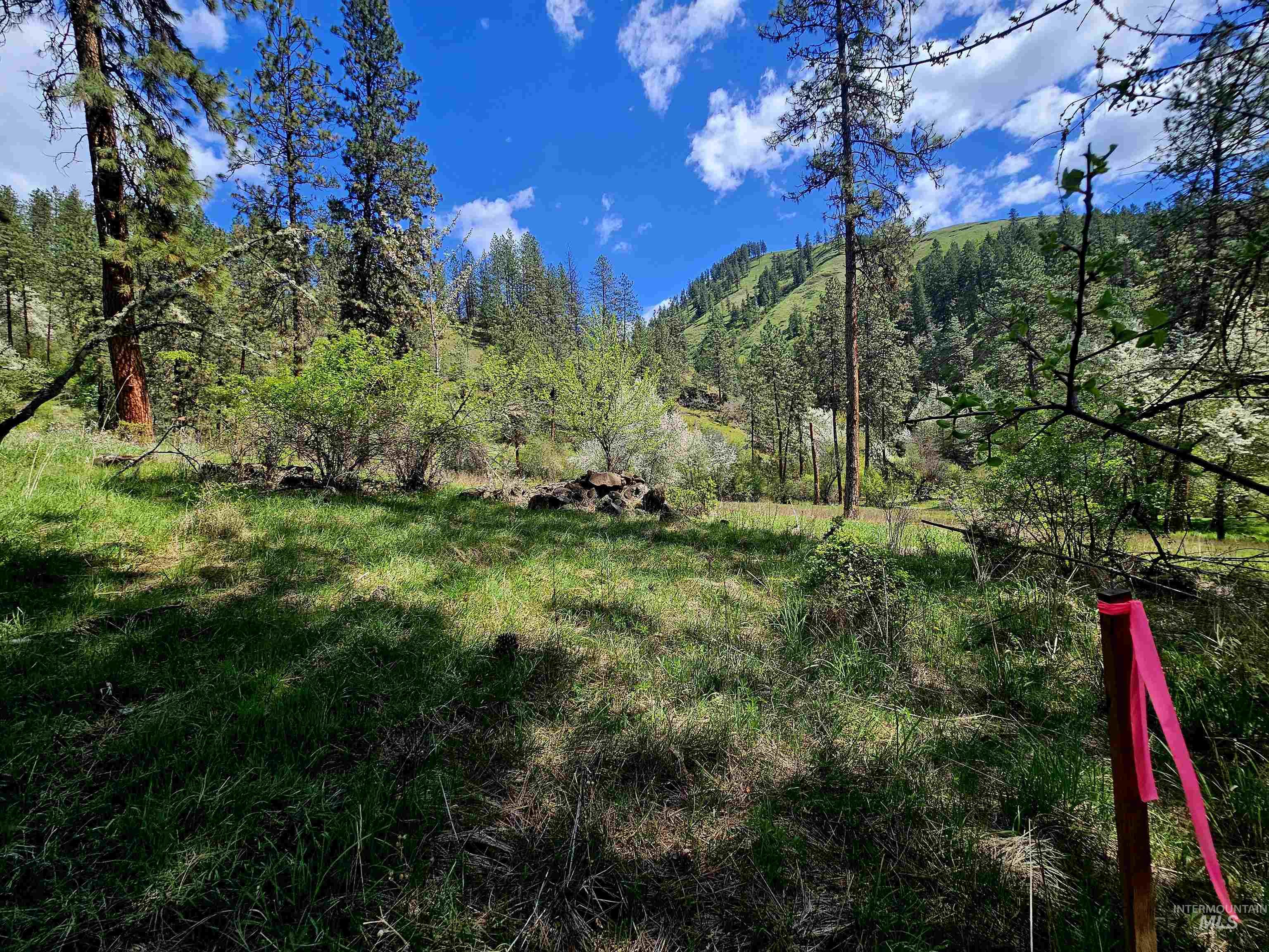 115 Weedmark Way, Kamiah, Idaho 83536, 2 Bedrooms, 1 Bathroom, Residential For Sale, Price $579,000,MLS 98981420