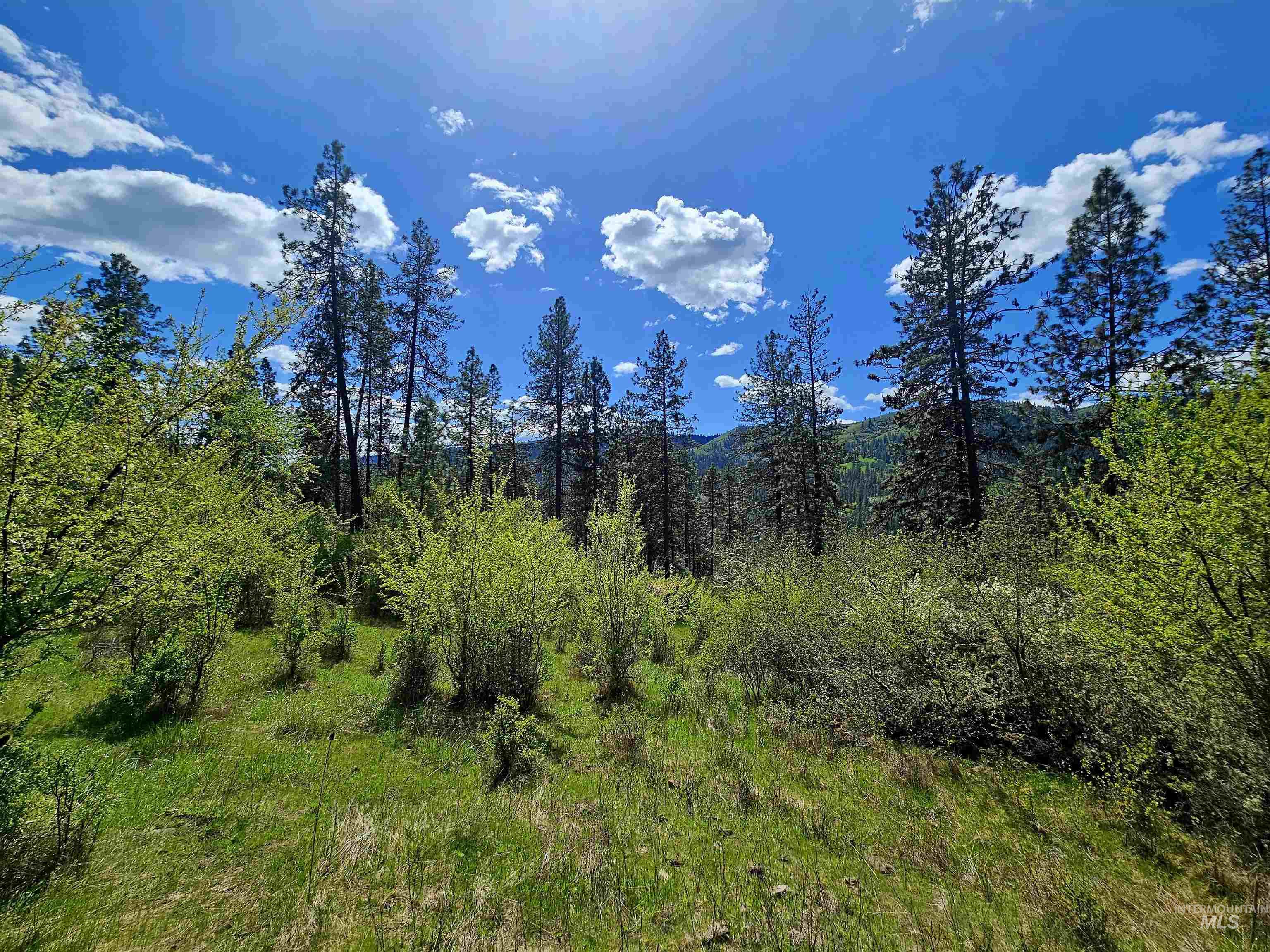 115 Weedmark Way, Kamiah, Idaho 83536, 2 Bedrooms, 1 Bathroom, Residential For Sale, Price $579,000,MLS 98981420