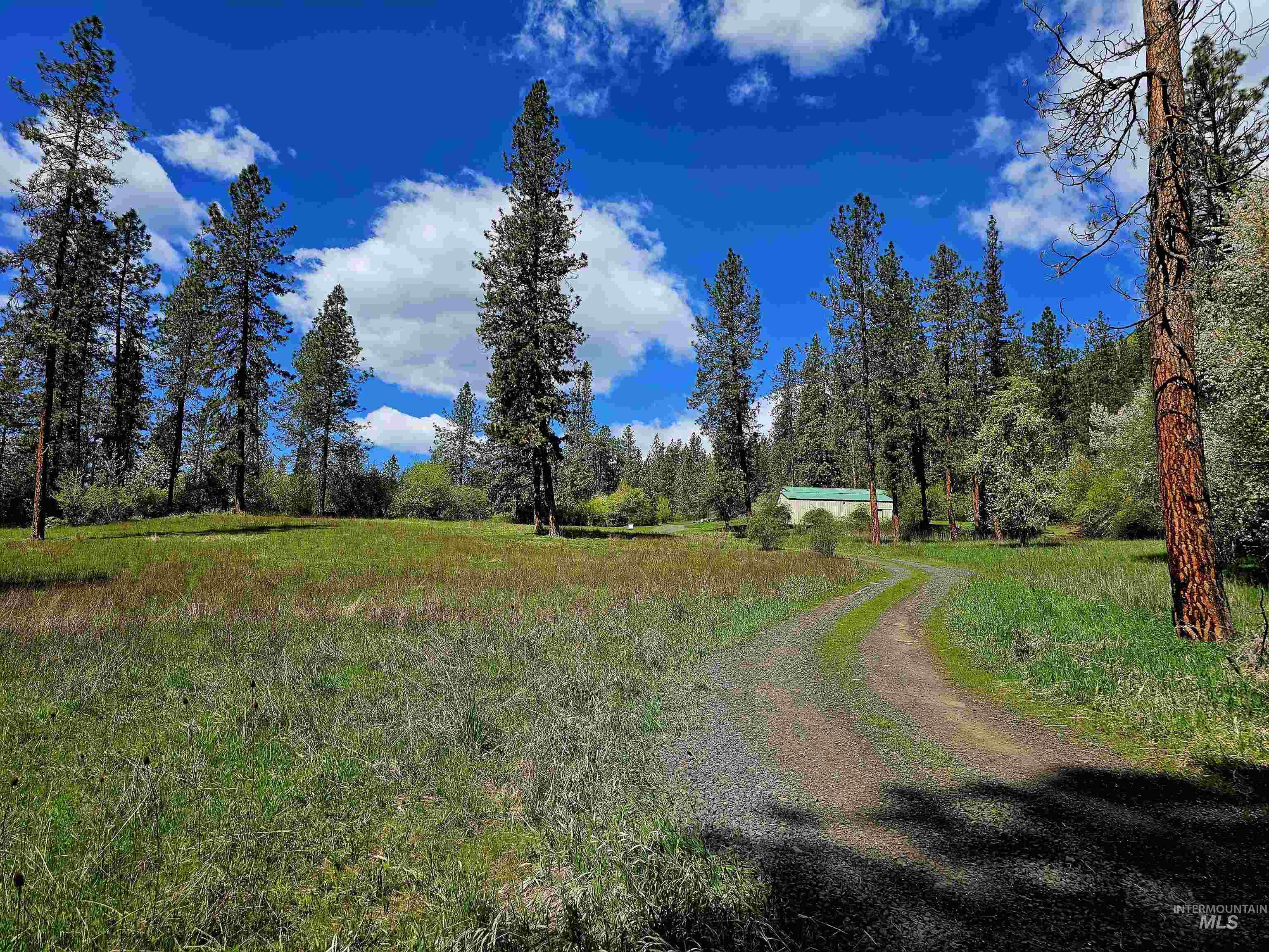 115 Weedmark Way, Kamiah, Idaho 83536, 2 Bedrooms, 1 Bathroom, Residential For Sale, Price $589,000,MLS 98981420