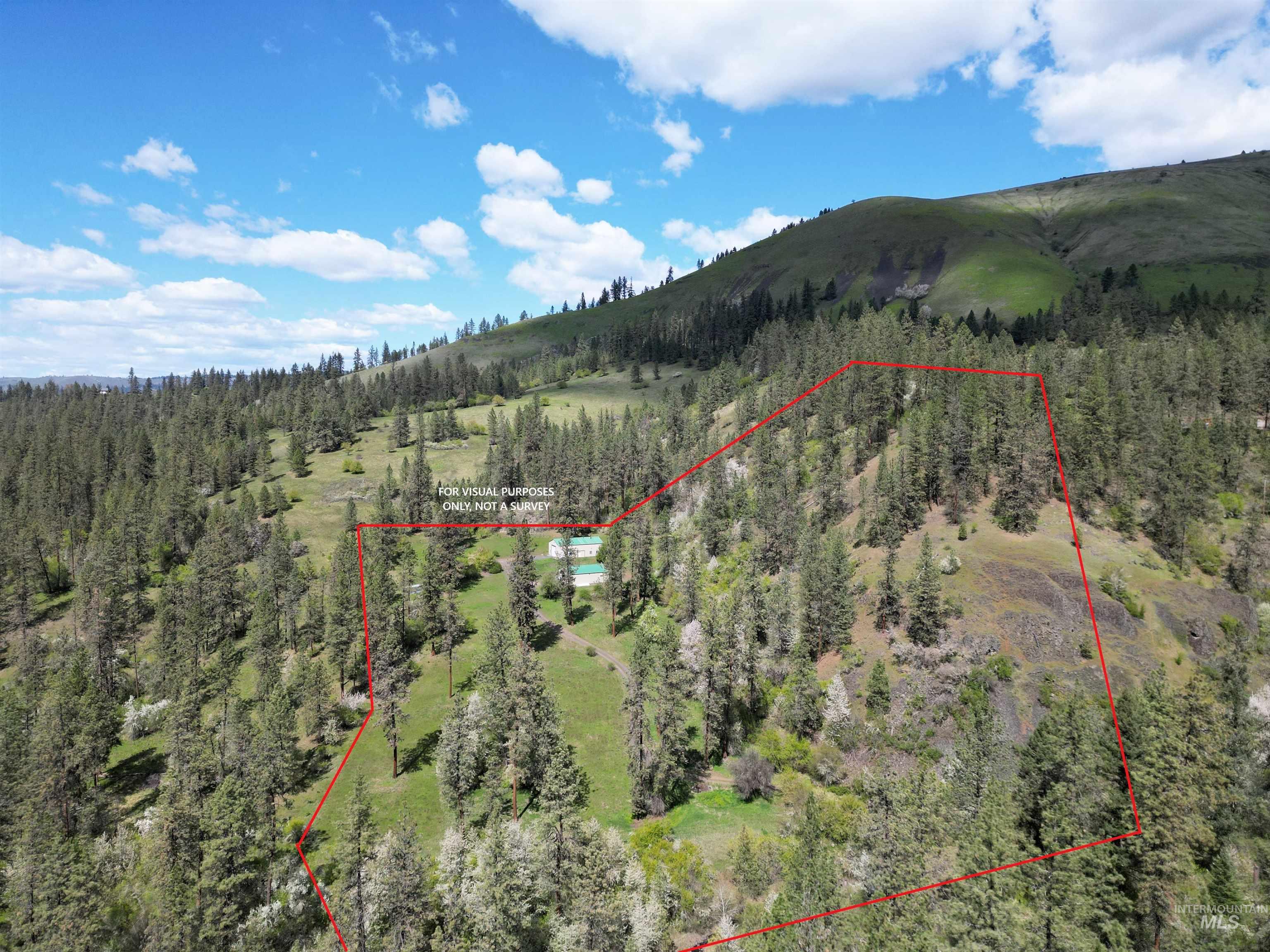115 Weedmark Way, Kamiah, Idaho 83536, 2 Bedrooms, 1 Bathroom, Residential For Sale, Price $579,000,MLS 98981420