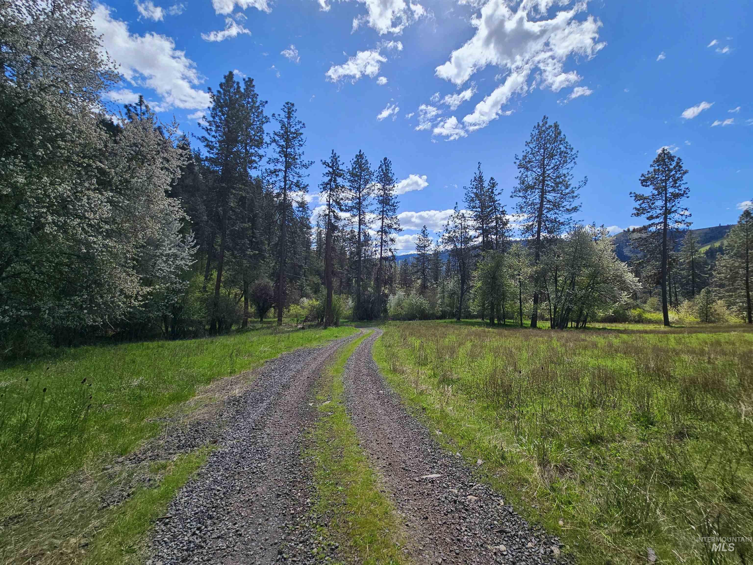 115 Weedmark Way, Kamiah, Idaho 83536, 2 Bedrooms, 1 Bathroom, Residential For Sale, Price $579,000,MLS 98981420