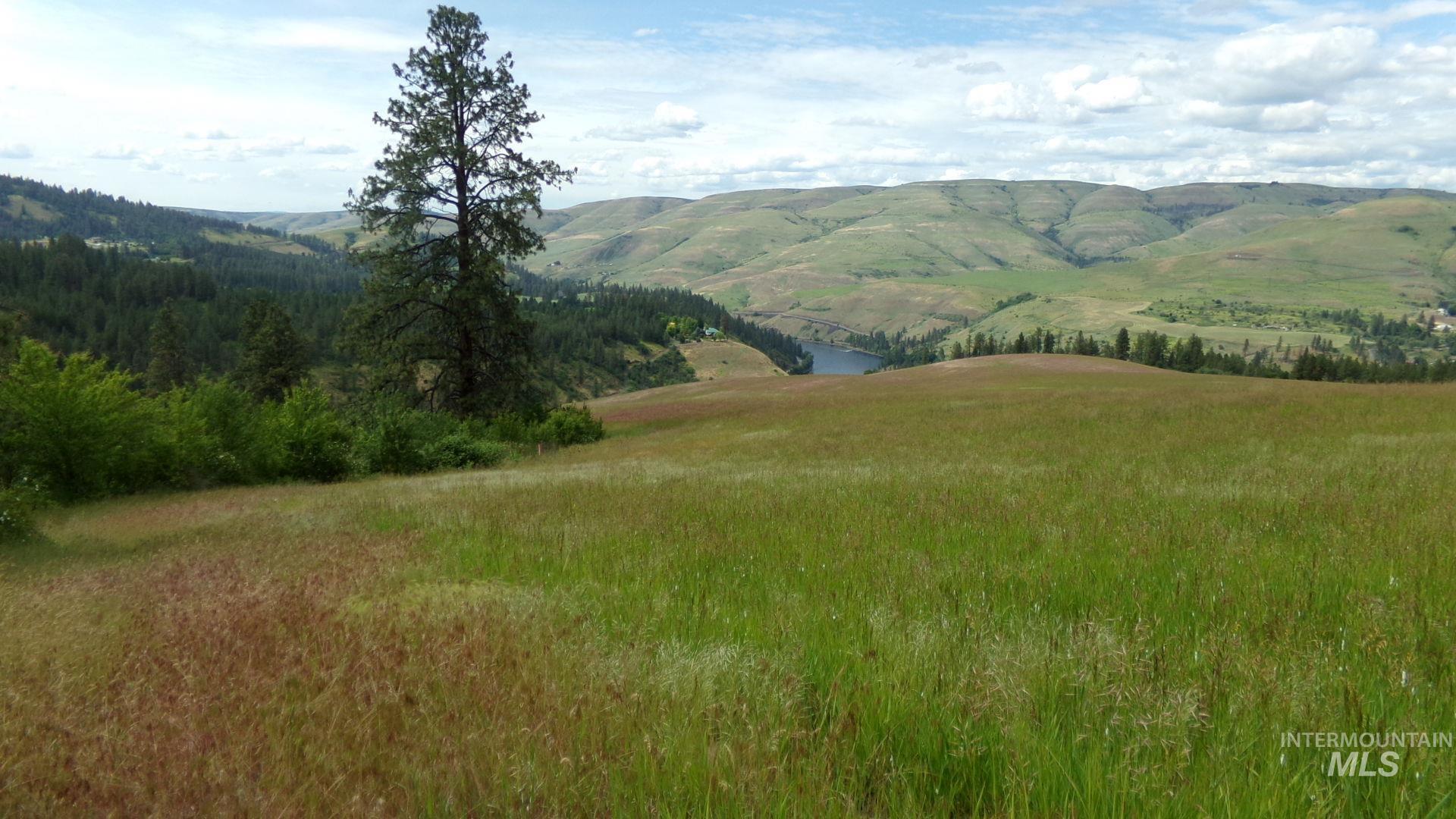 TBD Summit Grade Parcel "D", Lenore, Idaho 83501, Land For Sale, Price $193,000,MLS 98981430