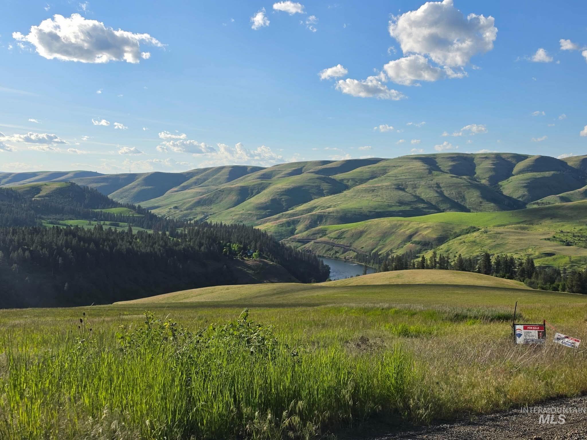 TBD Summit Grade Parcel "D", Lenore, Idaho 83501, Land For Sale, Price $193,000,MLS 98981430