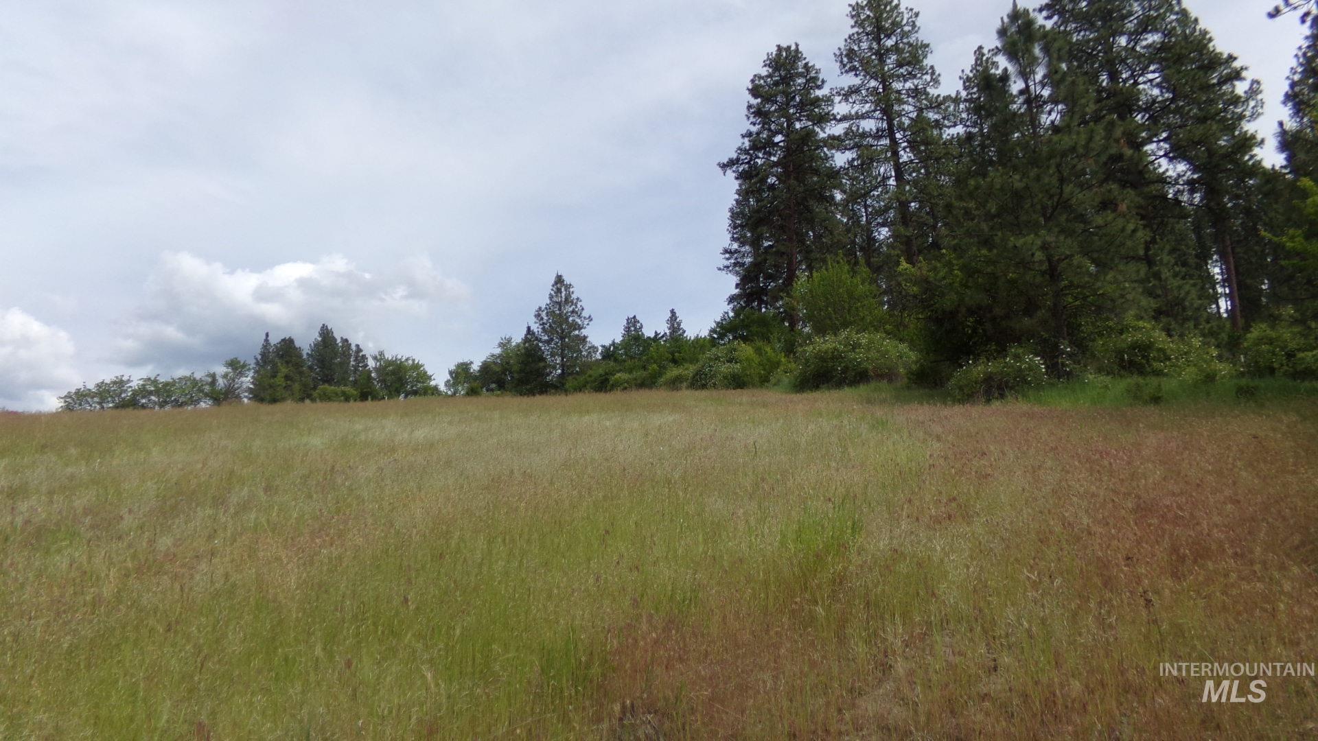 TBD Summit Grade Parcel "D", Lenore, Idaho 83501, Land For Sale, Price $193,000,MLS 98981430