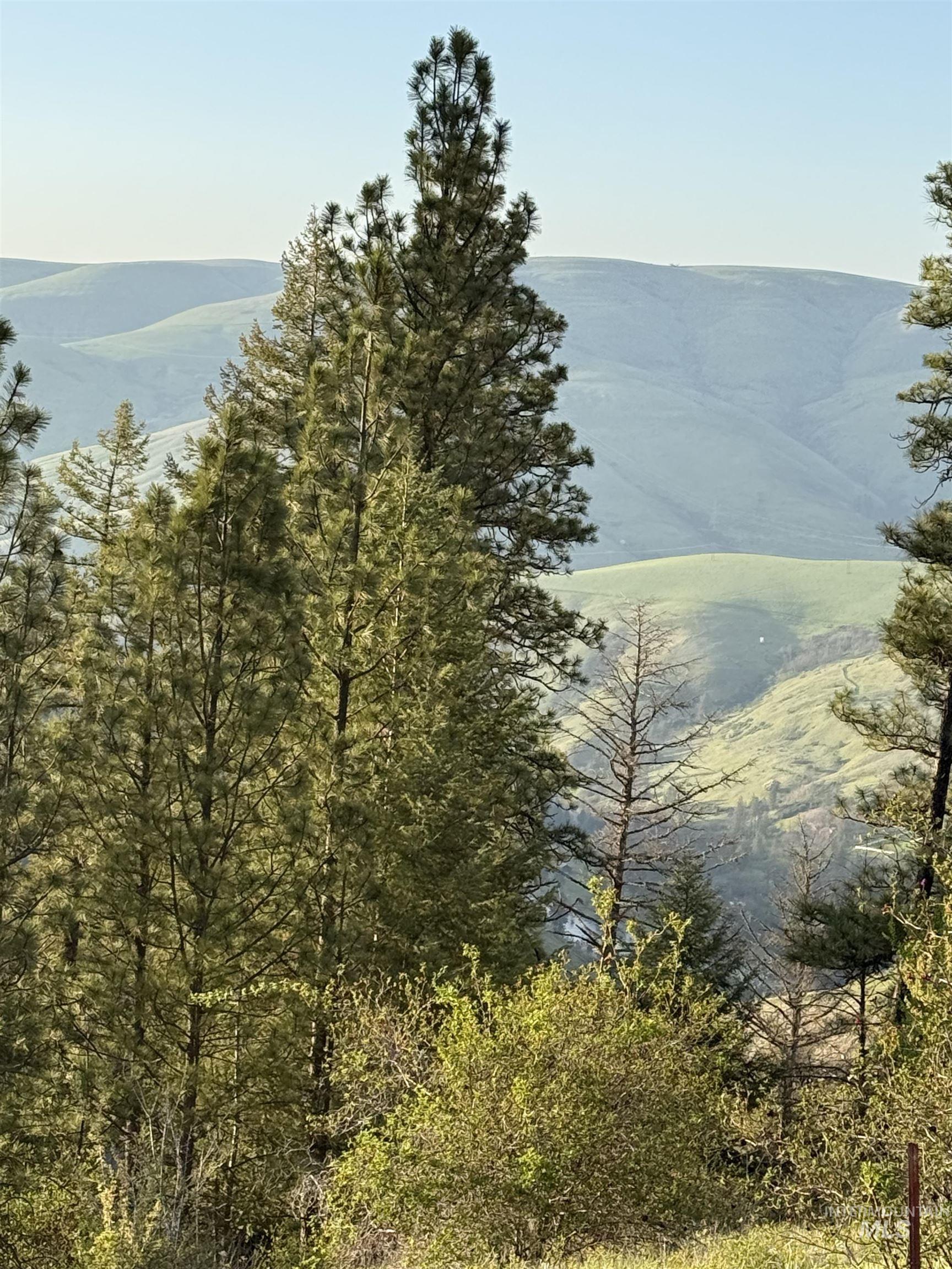 TBD Summit Grade Parcel "D", Lenore, Idaho 83501, Land For Sale, Price $193,000,MLS 98981430
