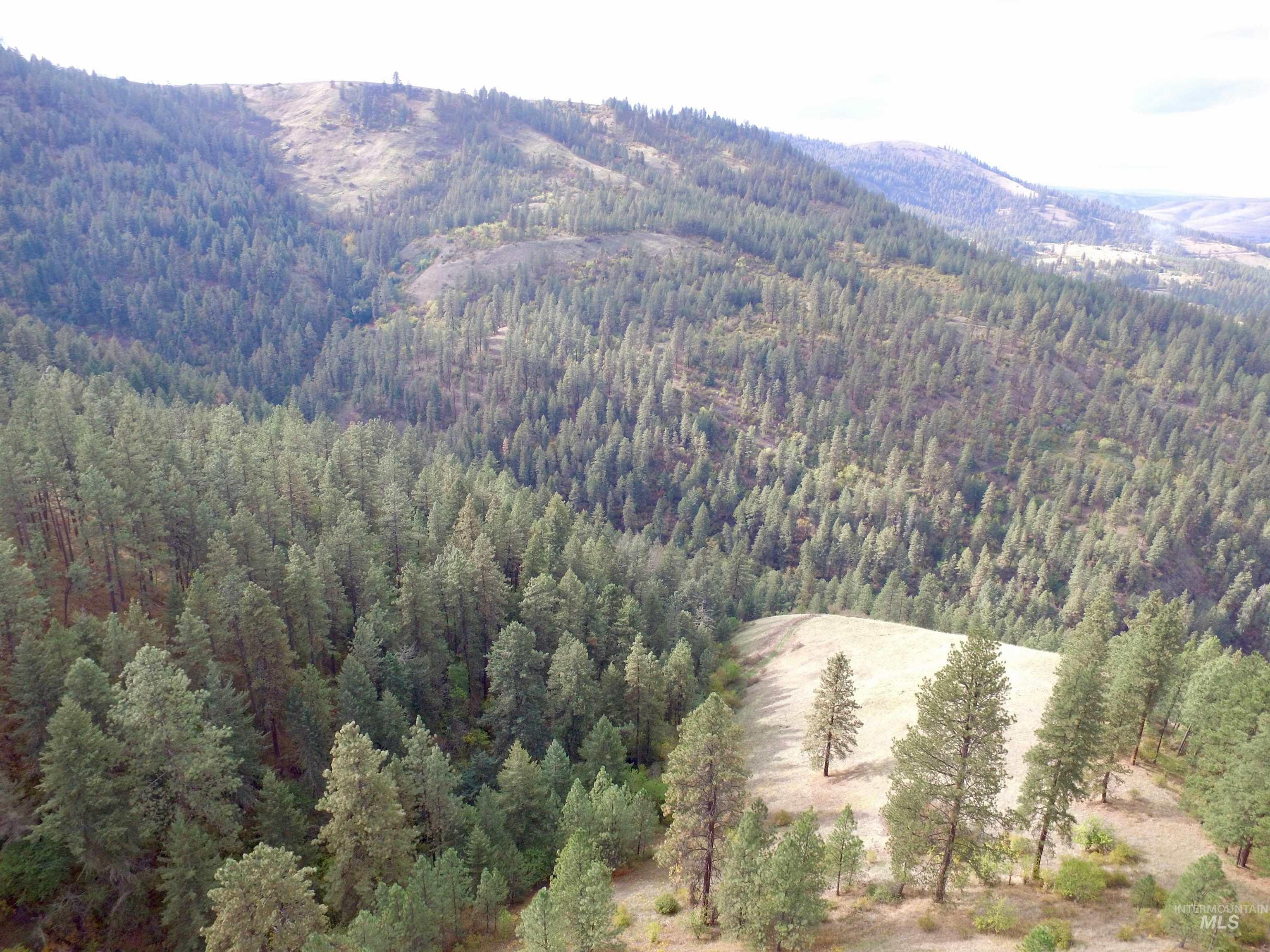 TBD Summit Grade Parcel "D", Lenore, Idaho 83501, Land For Sale, Price $193,000,MLS 98981430