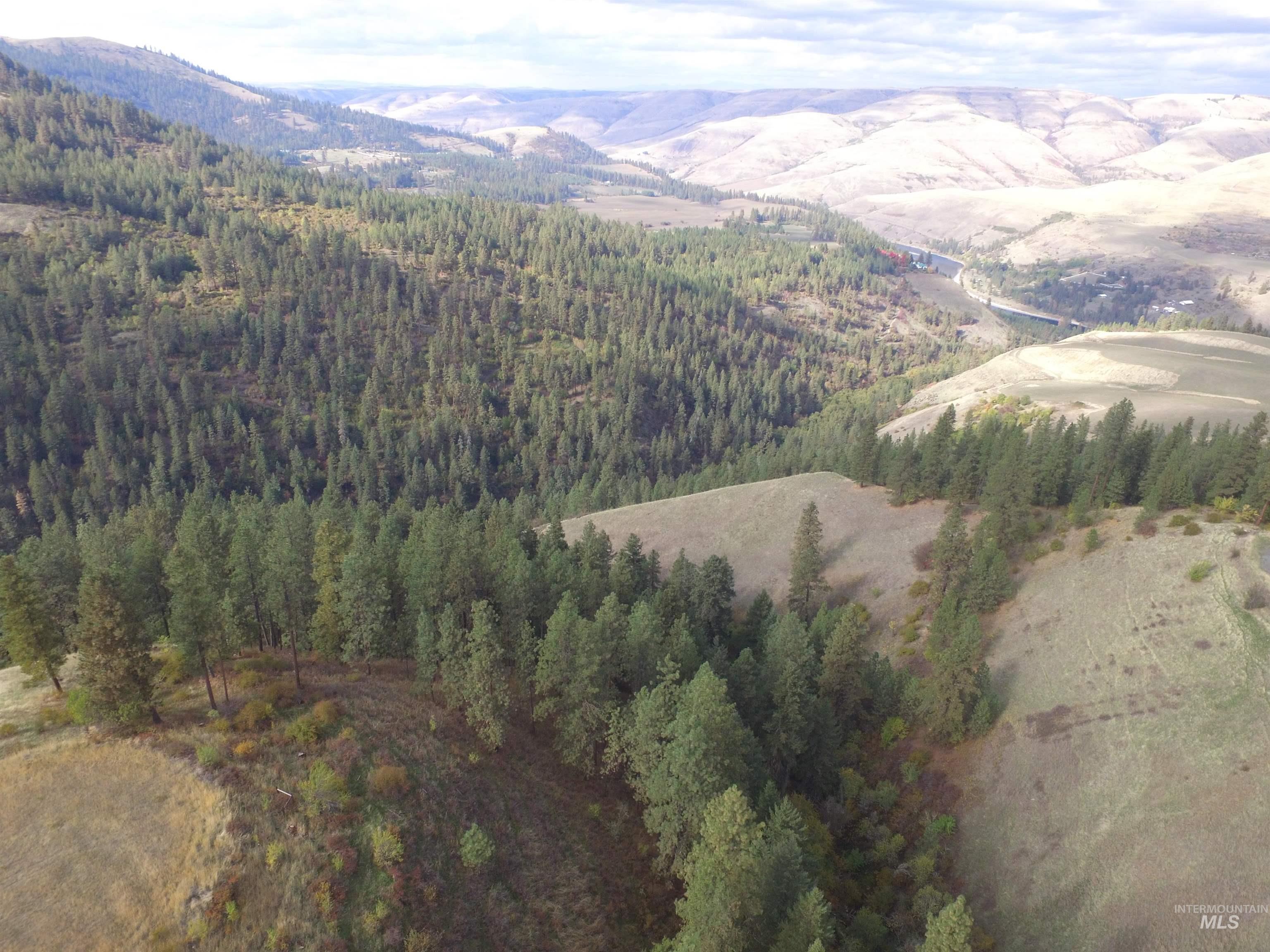TBD Summit Grade Parcel "D", Lenore, Idaho 83501, Land For Sale, Price $193,000,MLS 98981430