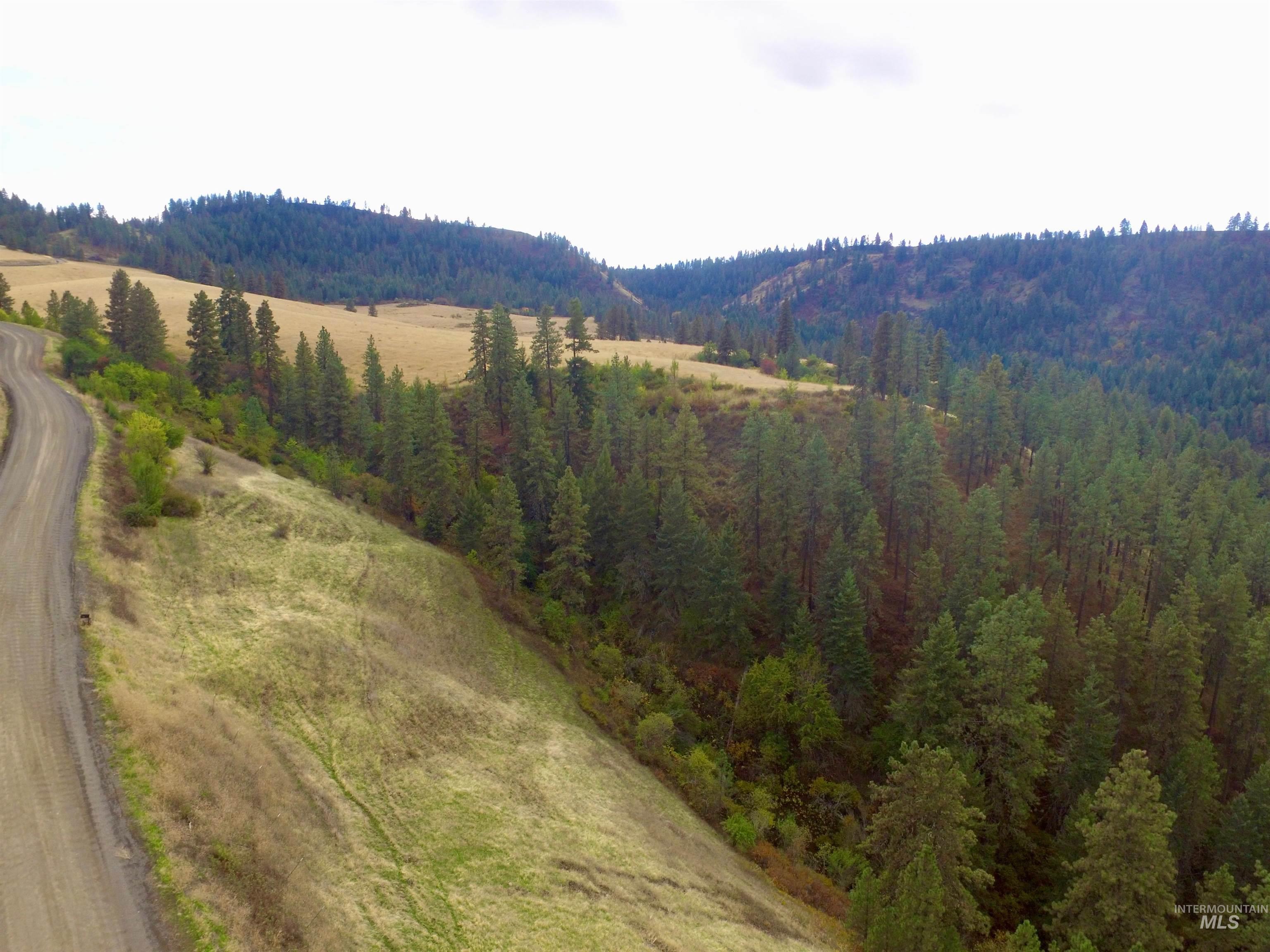 TBD Summit Grade Parcel "D", Lenore, Idaho 83501, Land For Sale, Price $193,000,MLS 98981430