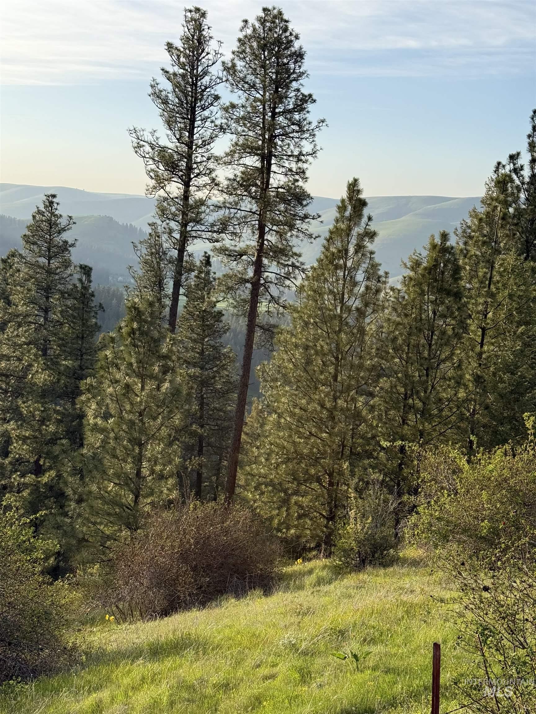 TBD Summit Grade Parcel "D", Lenore, Idaho 83501, Land For Sale, Price $193,000,MLS 98981430