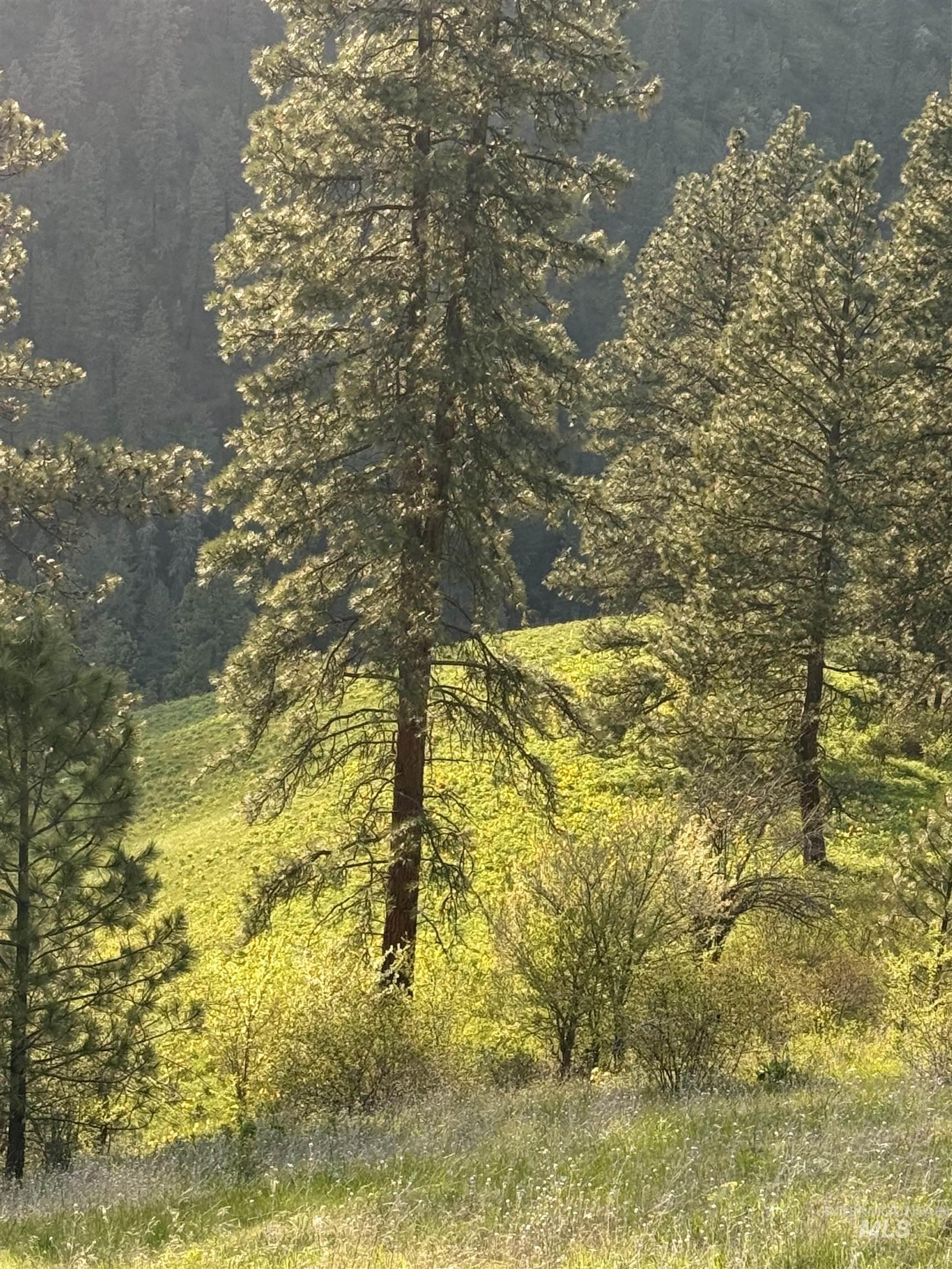 TBD Summit Grade Parcel "D", Lenore, Idaho 83501, Land For Sale, Price $193,000,MLS 98981430