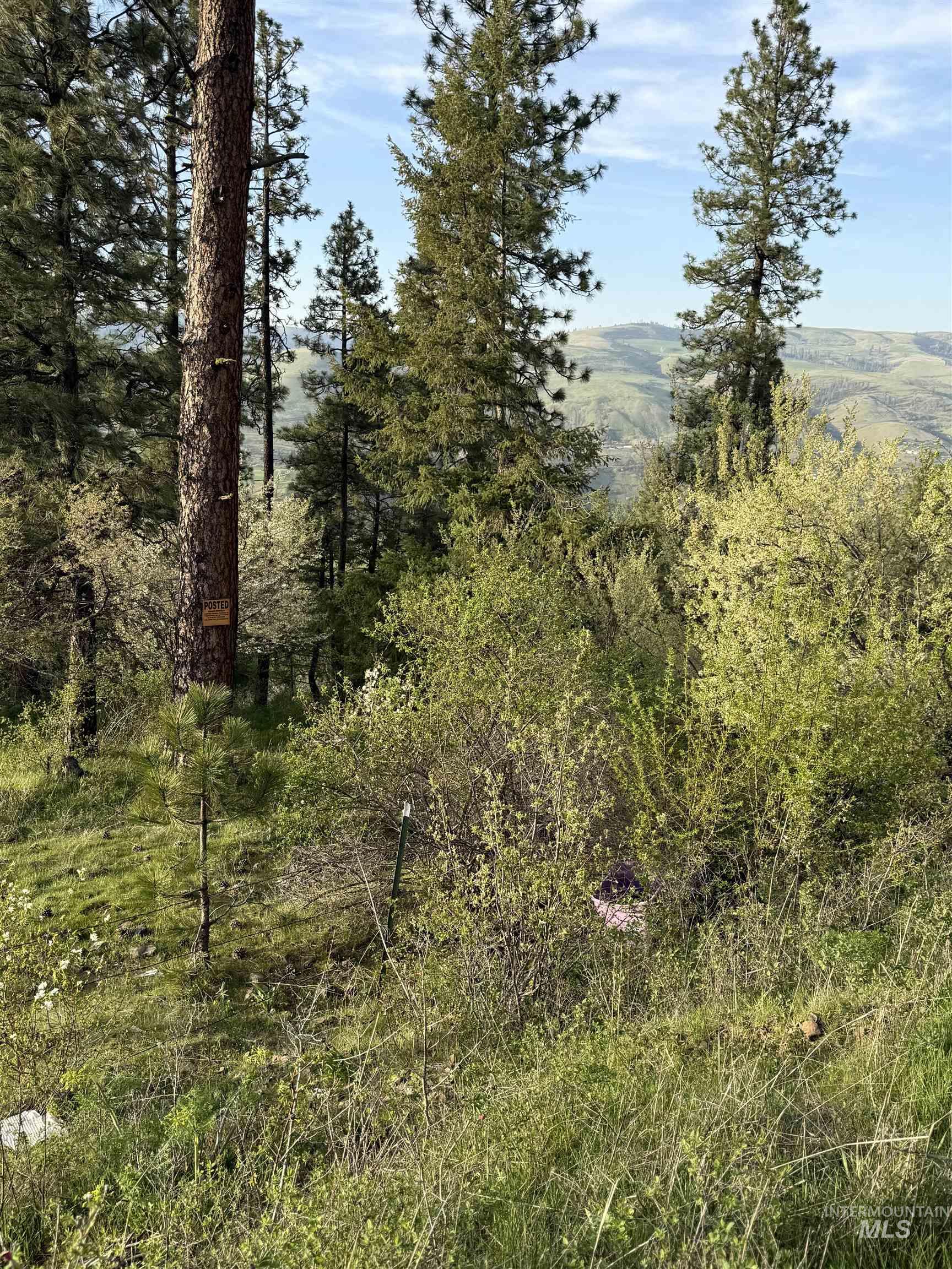 TBD Summit Grade Parcel "D", Lenore, Idaho 83501, Land For Sale, Price $193,000,MLS 98981430