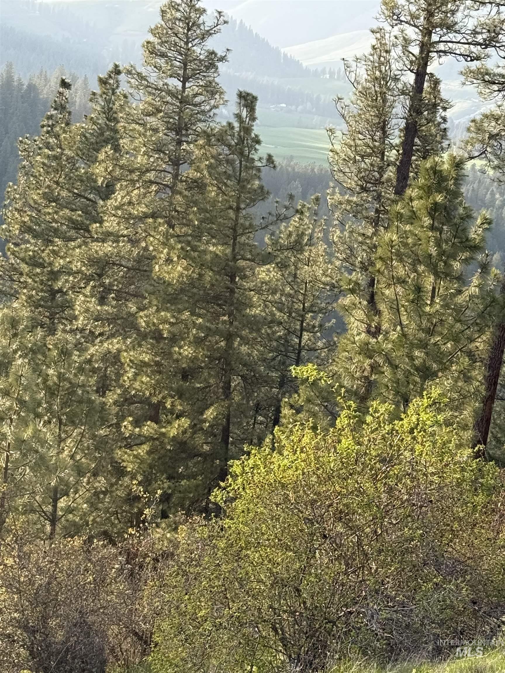 TBD Summit Grade Parcel "D", Lenore, Idaho 83501, Land For Sale, Price $193,000,MLS 98981430