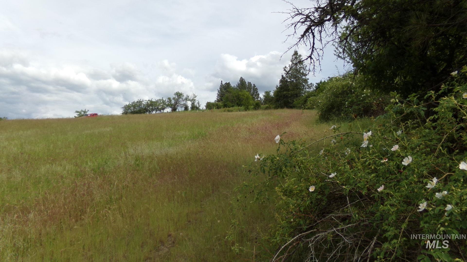 TBD Summit Grade Parcel "D", Lenore, Idaho 83501, Land For Sale, Price $193,000,MLS 98981430