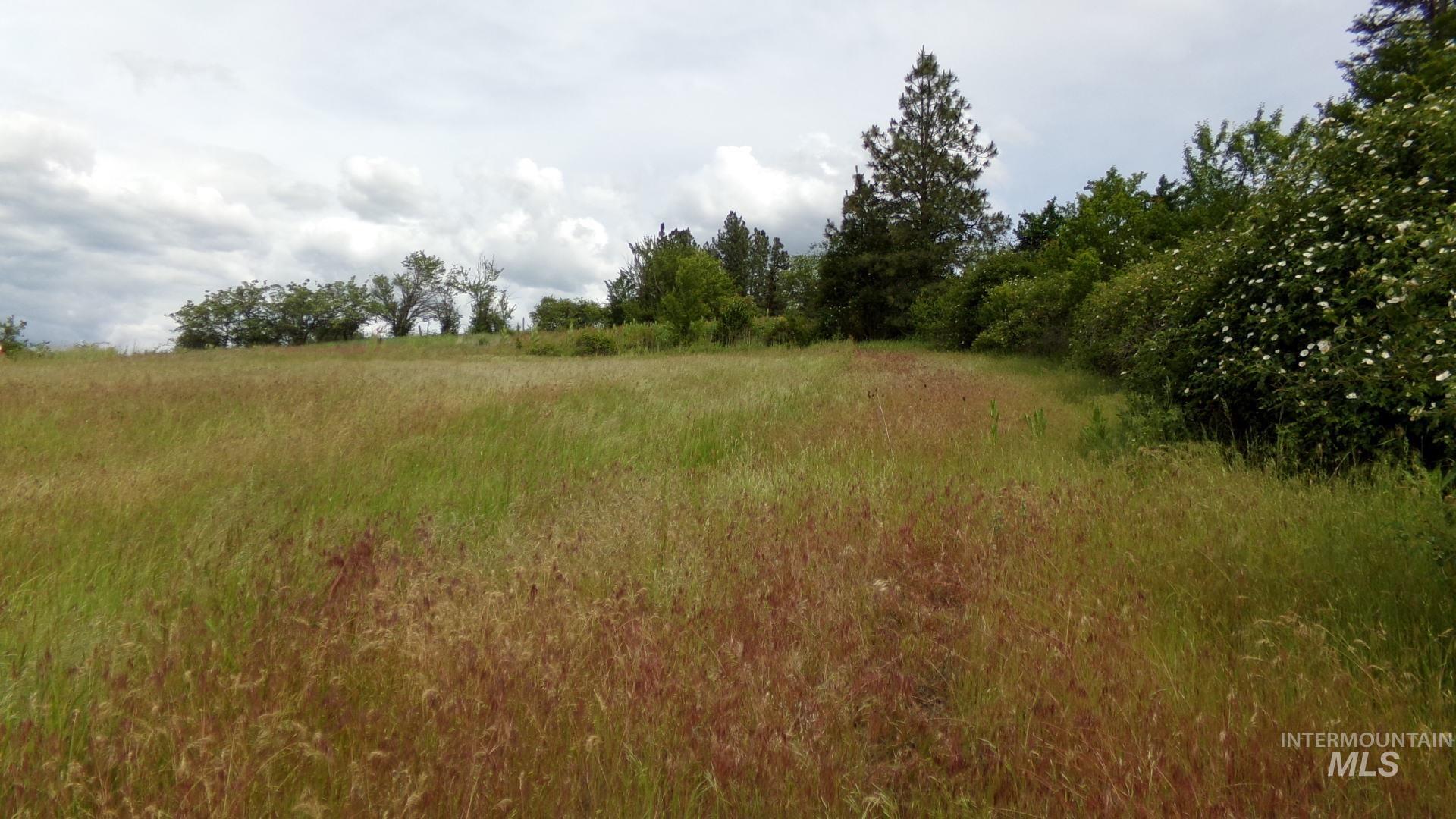 TBD Summit Grade Parcel "D", Lenore, Idaho 83501, Land For Sale, Price $193,000,MLS 98981430