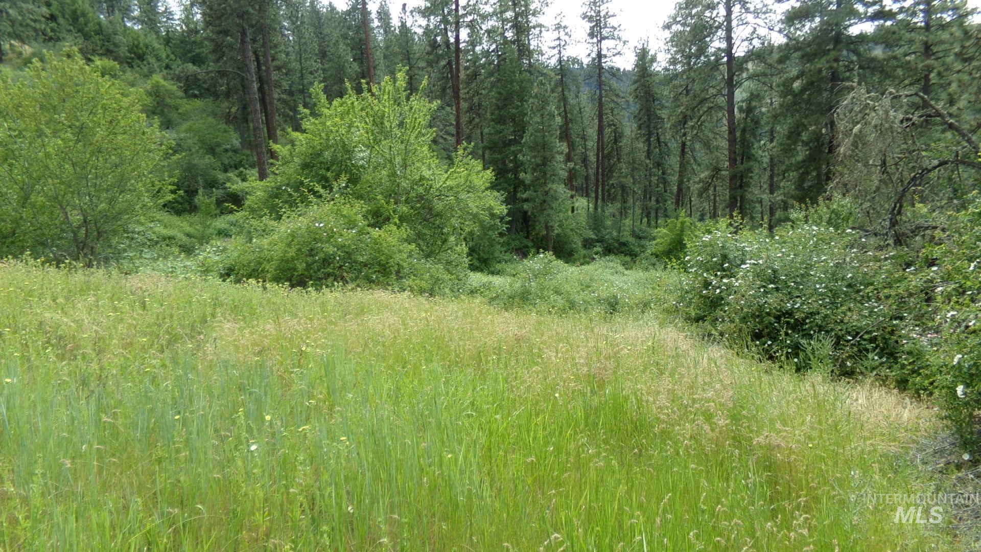 TBD Summit Grade Parcel "D", Lenore, Idaho 83501, Land For Sale, Price $193,000,MLS 98981430