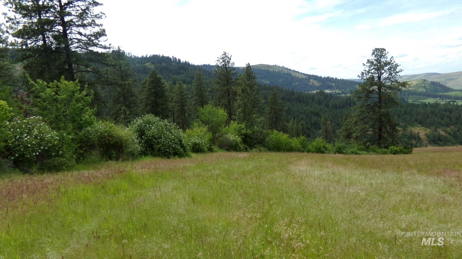 TBD Summit Grade Parcel "D", Lenore, Idaho 83501, Land For Sale, Price $193,000,MLS 98981430