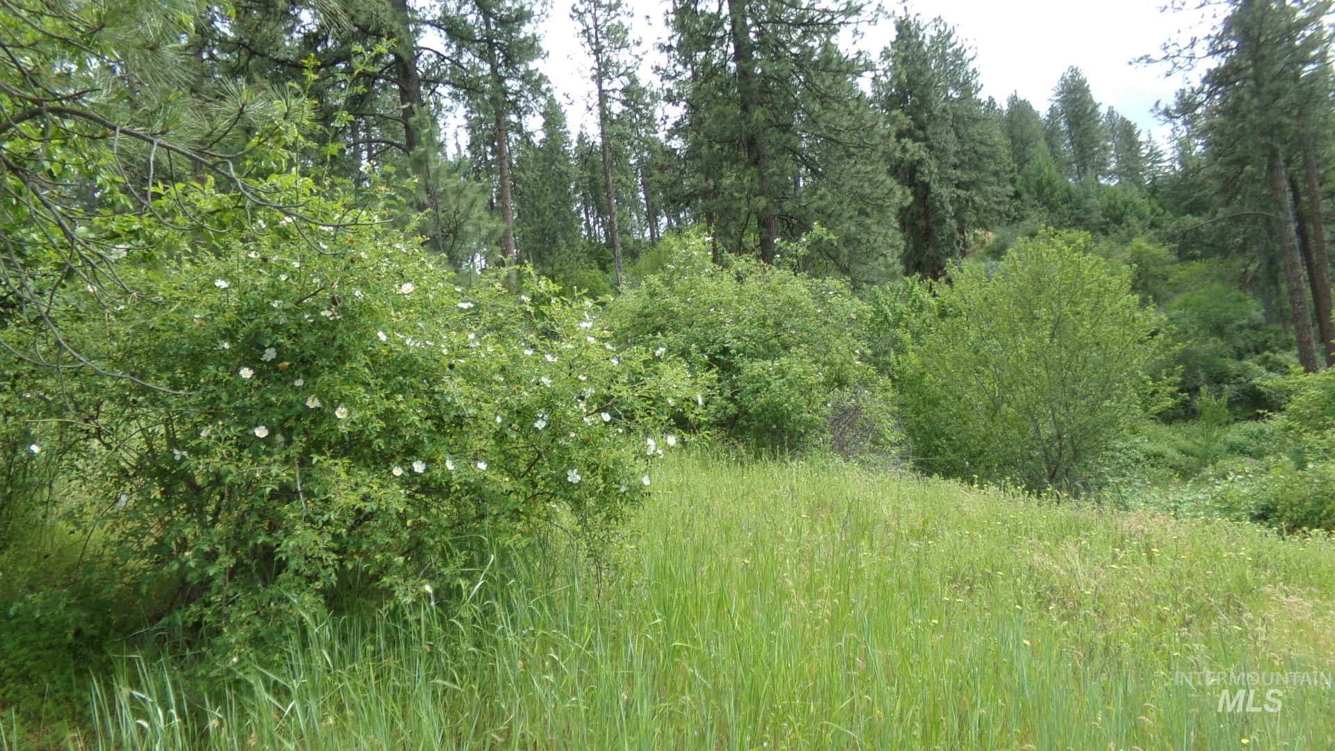 TBD Summit Grade Parcel "D", Lenore, Idaho 83501, Land For Sale, Price $193,000,MLS 98981430