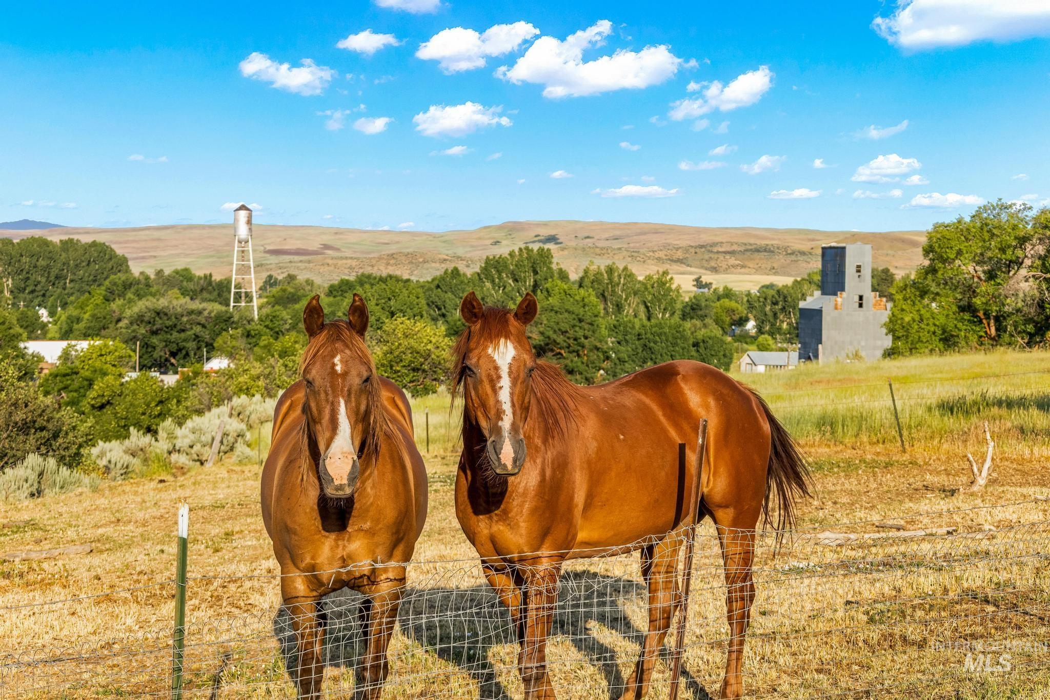 2208 Keithley Creek Rd, Midvale, Idaho 83645, 3 Bedrooms, 2 Bathrooms, Residential For Sale, Price $367,000, 98981491