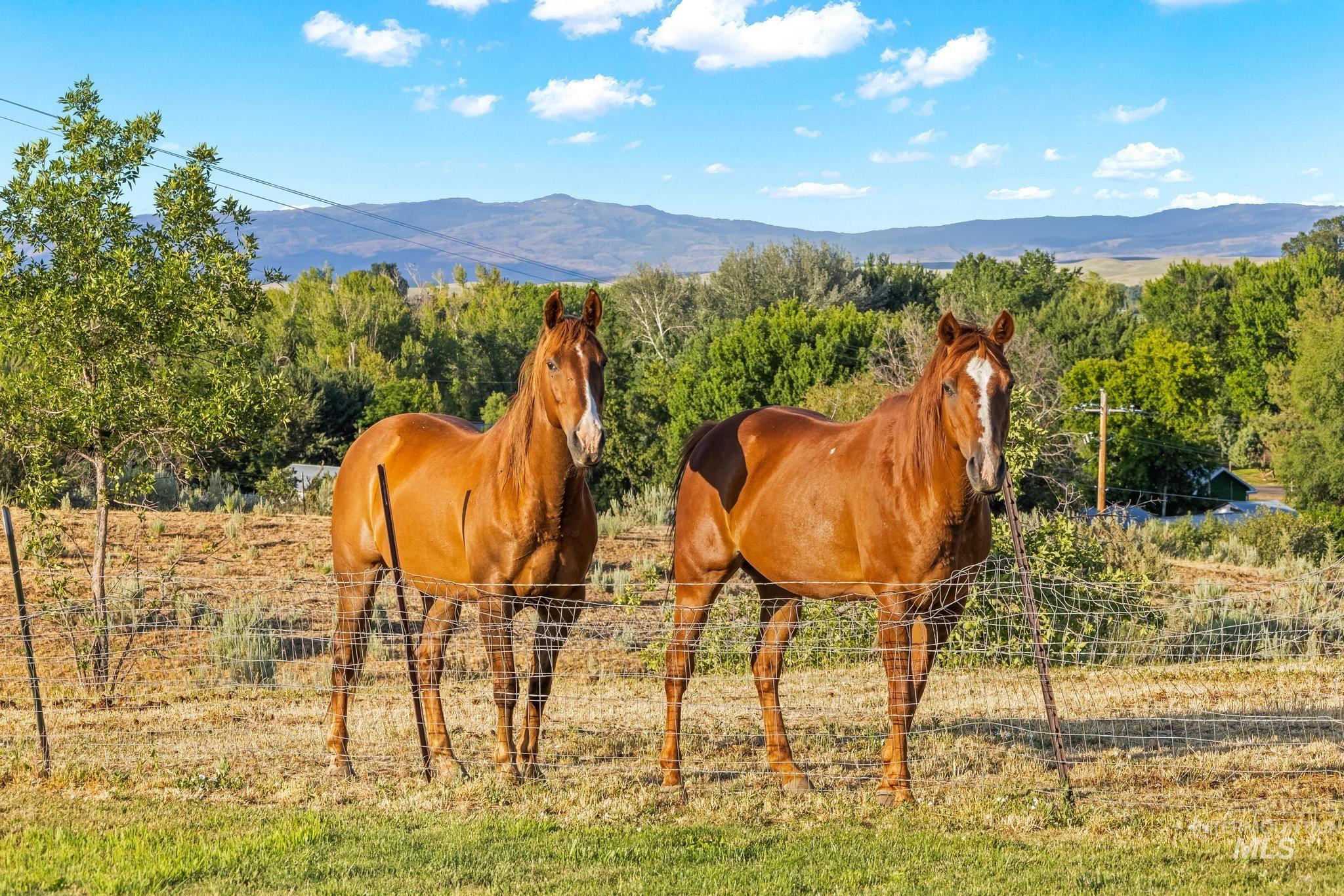 2208 Keithley Creek Rd, Midvale, Idaho 83645, 3 Bedrooms, 2 Bathrooms, Residential For Sale, Price $367,000, 98981491