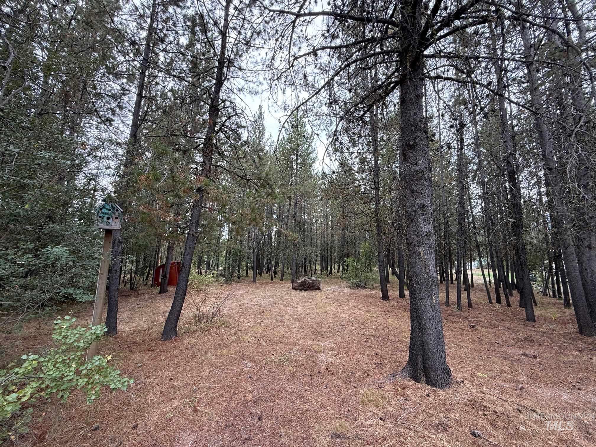 227 McLeod Ln, Donnelly, Idaho 83615, 2 Bedrooms, 1 Bathroom, Residential For Sale, Price $349,000, 98981493