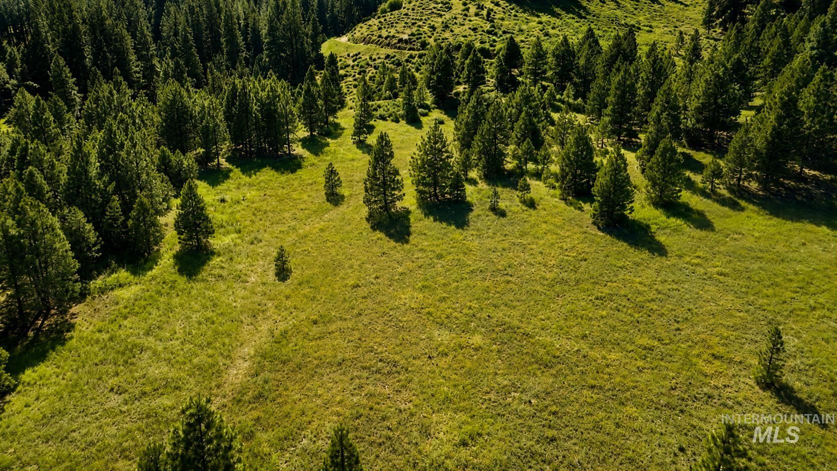 Lot 2 Mores Creek Heights, Boise, Idaho 83716, Land For Sale, Price $1,380,000, 98981630