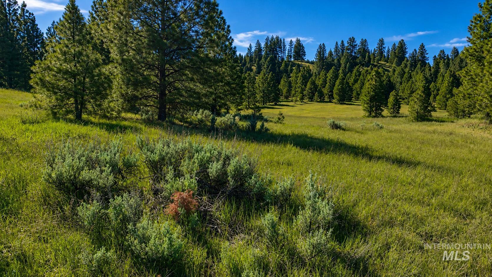 Lot 2 Mores Creek Heights, Boise, Idaho 83716, Land For Sale, Price $1,380,000, 98981630