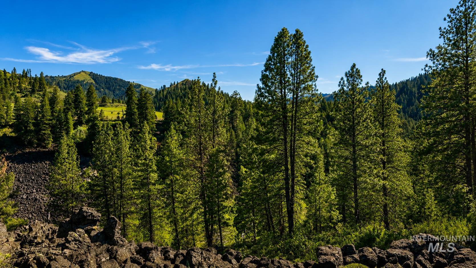 Lot 2 Mores Creek Heights, Boise, Idaho 83716, Land For Sale, Price $1,380,000, 98981630