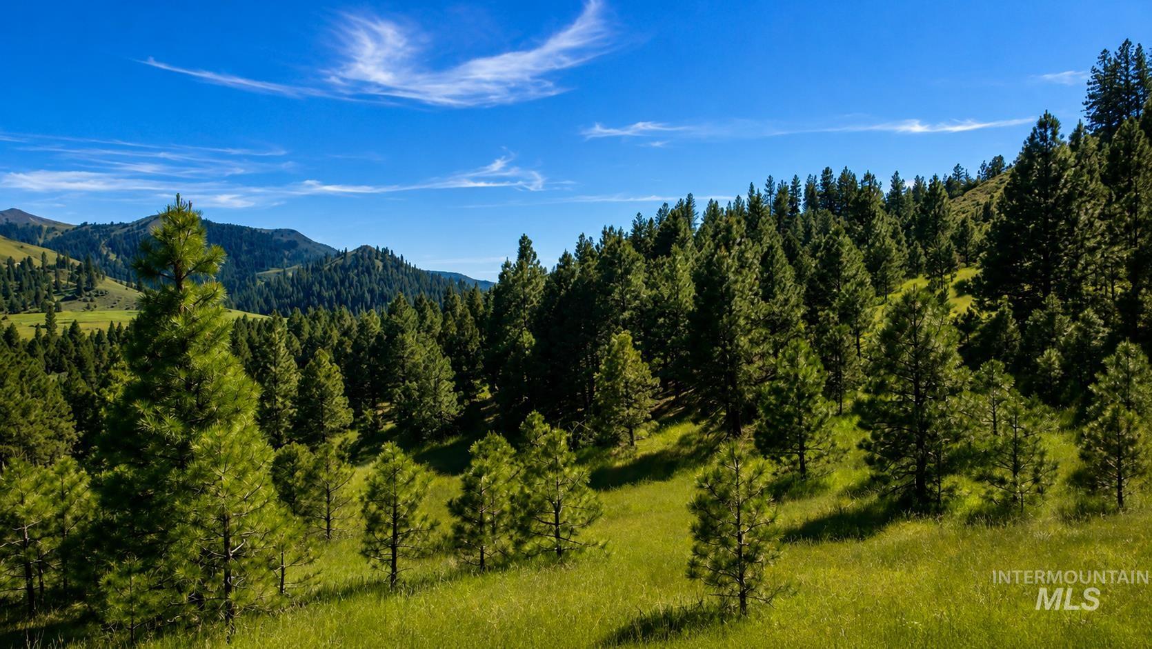 Lot 2 Mores Creek Heights, Boise, Idaho 83716, Land For Sale, Price $1,380,000, 98981630