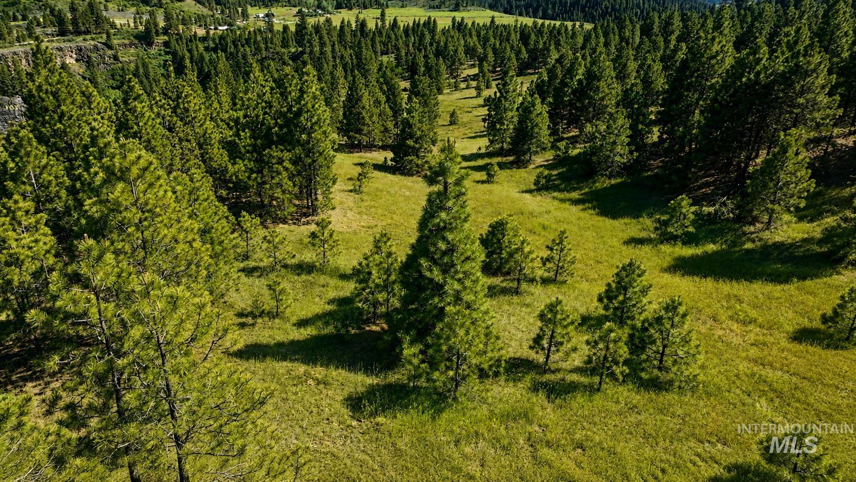 Lot 2 Mores Creek Heights, Boise, Idaho 83716, Land For Sale, Price $1,380,000, 98981630