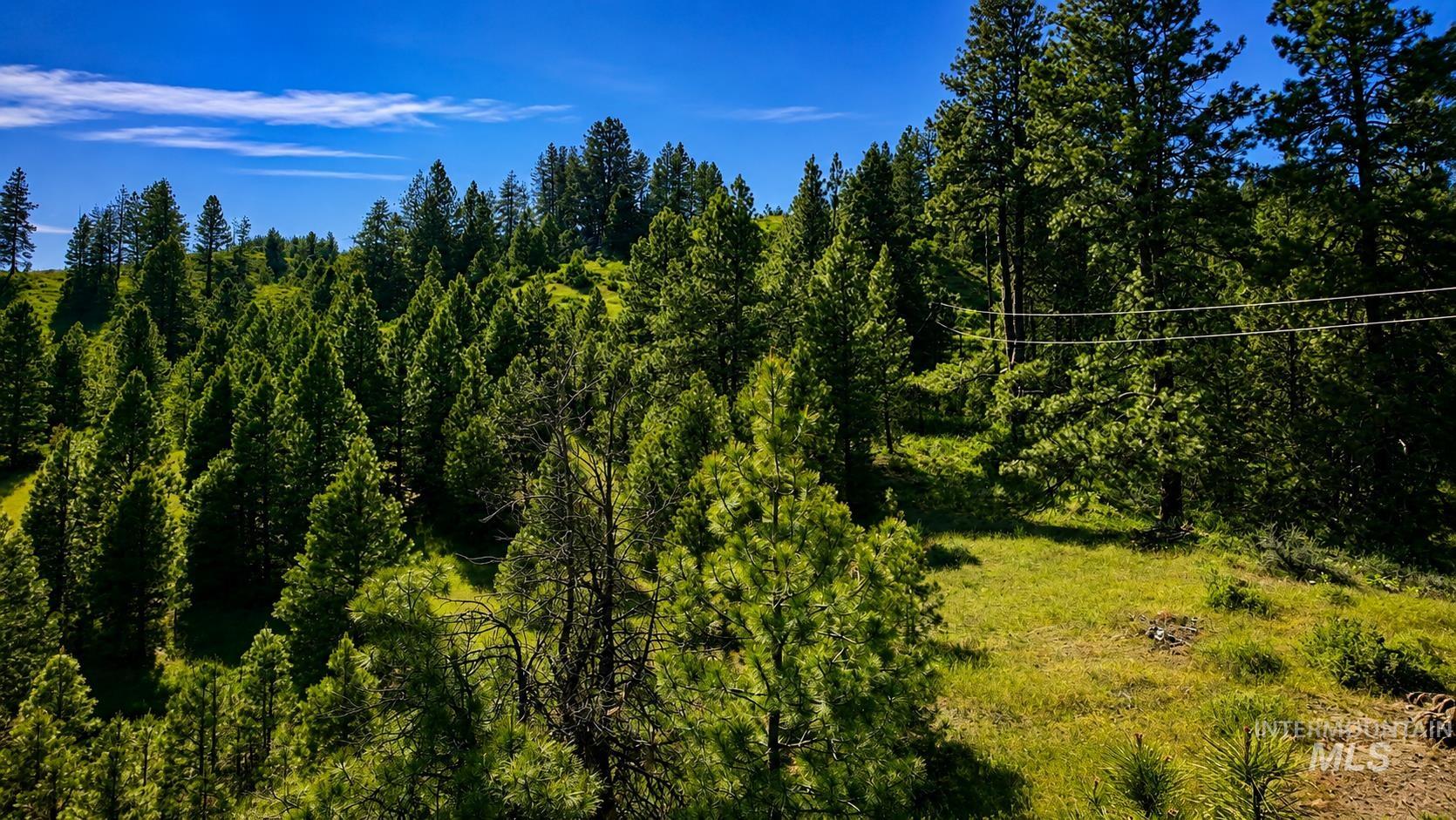 Lot 2 Mores Creek Heights, Boise, Idaho 83716, Land For Sale, Price $1,380,000, 98981630