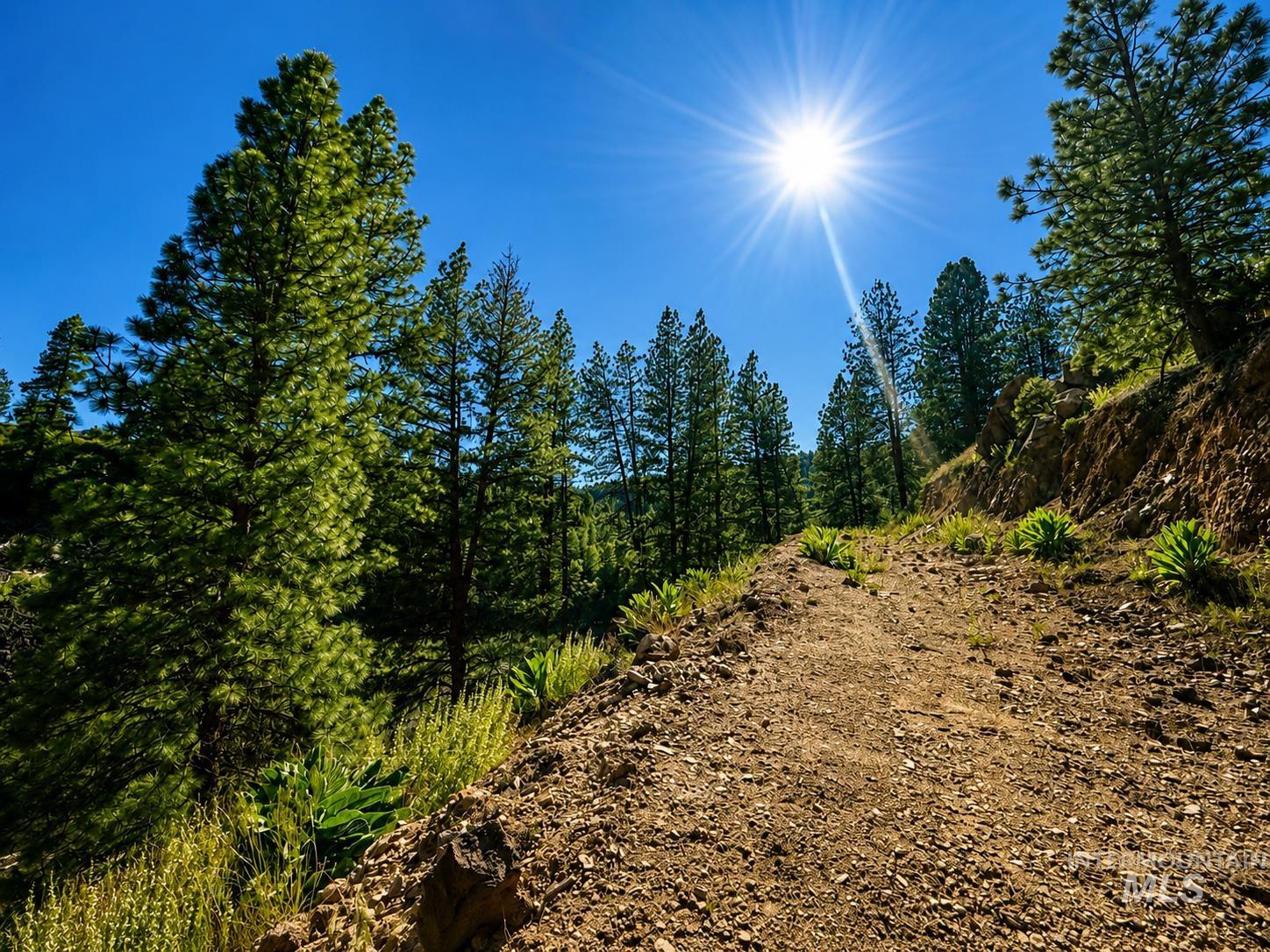 Lot 2 Mores Creek Heights, Boise, Idaho 83716, Land For Sale, Price $1,380,000, 98981630