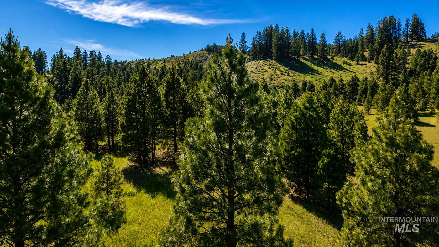 Lot 2 Mores Creek Heights, Boise, Idaho 83716, Land For Sale, Price $1,380,000, 98981630