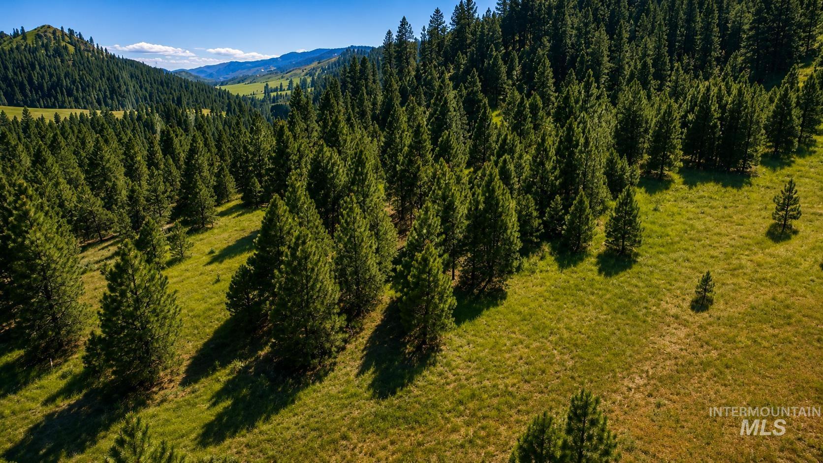 Lot 2 Mores Creek Heights, Boise, Idaho 83716, Land For Sale, Price $1,380,000, 98981630