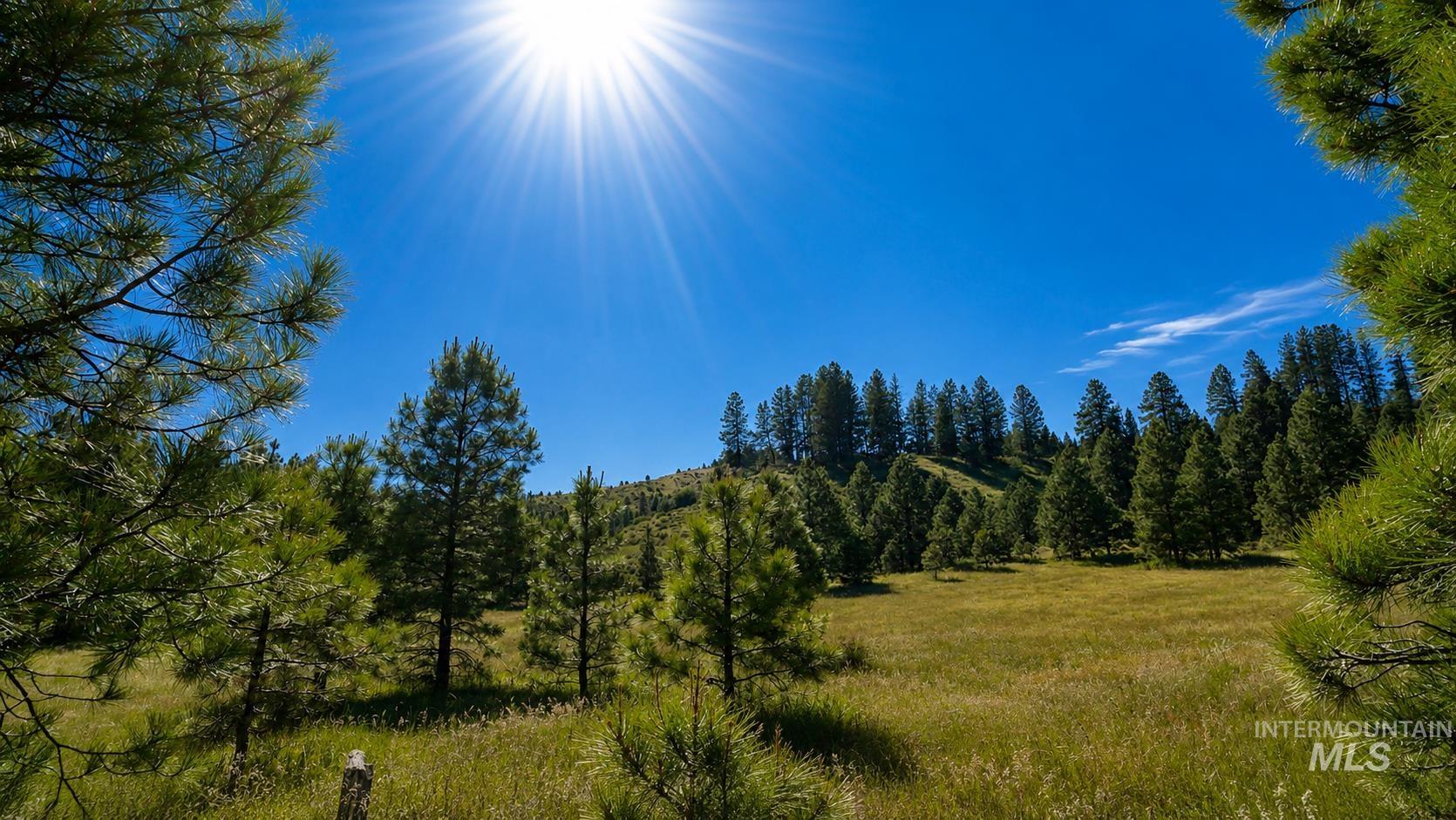 Lot 2 Mores Creek Heights, Boise, Idaho 83716, Land For Sale, Price $1,380,000, 98981630