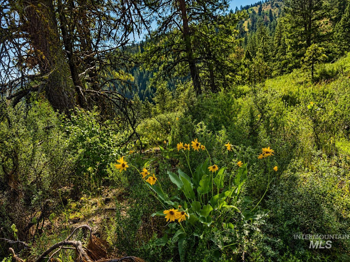 Lot 2 Mores Creek Heights, Boise, Idaho 83716, Land For Sale, Price $1,380,000, 98981630