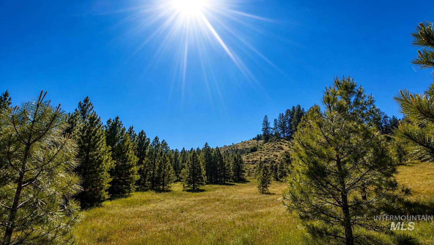 Lot 2 Mores Creek Heights, Boise, Idaho 83716, Land For Sale, Price $1,380,000, 98981630