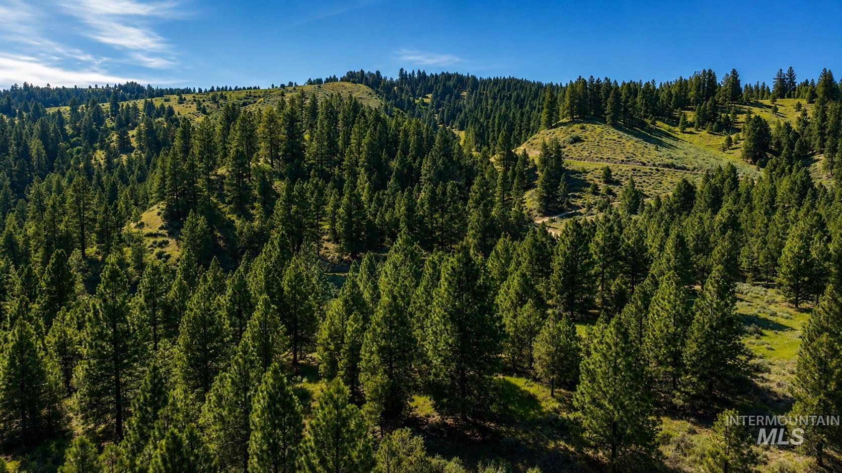 Lot 2 Mores Creek Heights, Boise, Idaho 83716, Land For Sale, Price $1,380,000, 98981630