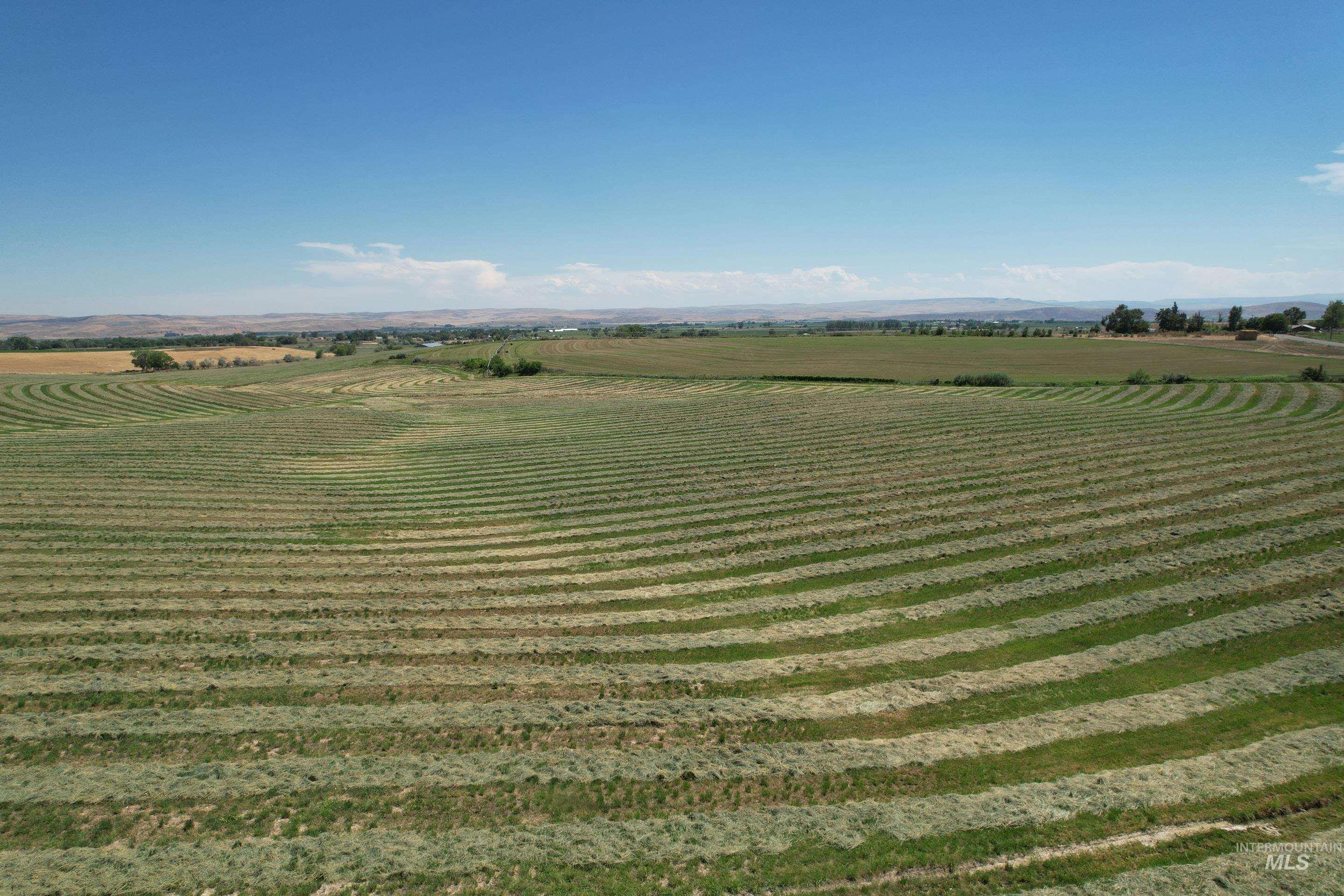 0 Greenfield Road, Vale, Oregon 97918, Farm & Ranch For Sale, Price $972,000, 98981647